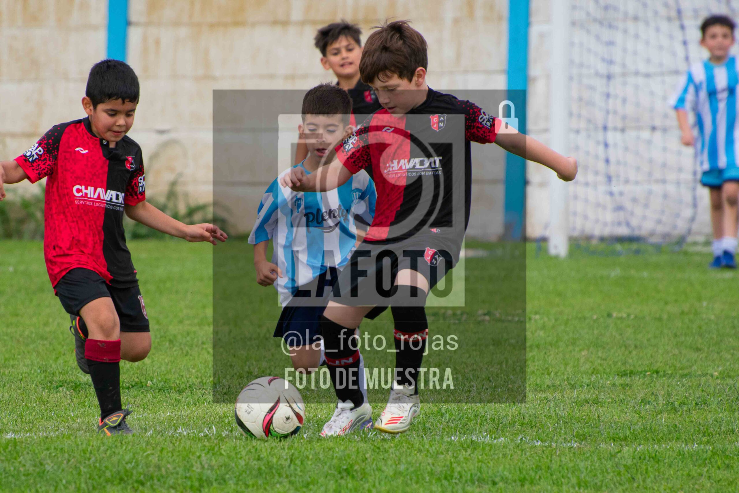 Fotografía 2018-ARG-NEW-6-scaled de ARGENTINO - NEWBERY / 2018 / 8-11