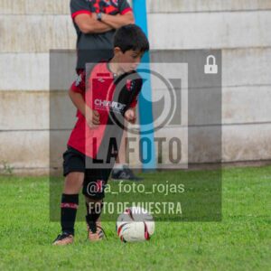 Fotografía 2018-ARG-NEW-60-scaled de ARGENTINO - NEWBERY / 2018 / 8-11