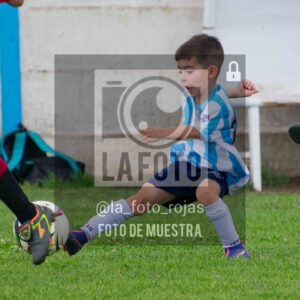 Fotografía 2018-ARG-NEW-61-scaled de ARGENTINO - NEWBERY / 2018 / 8-11