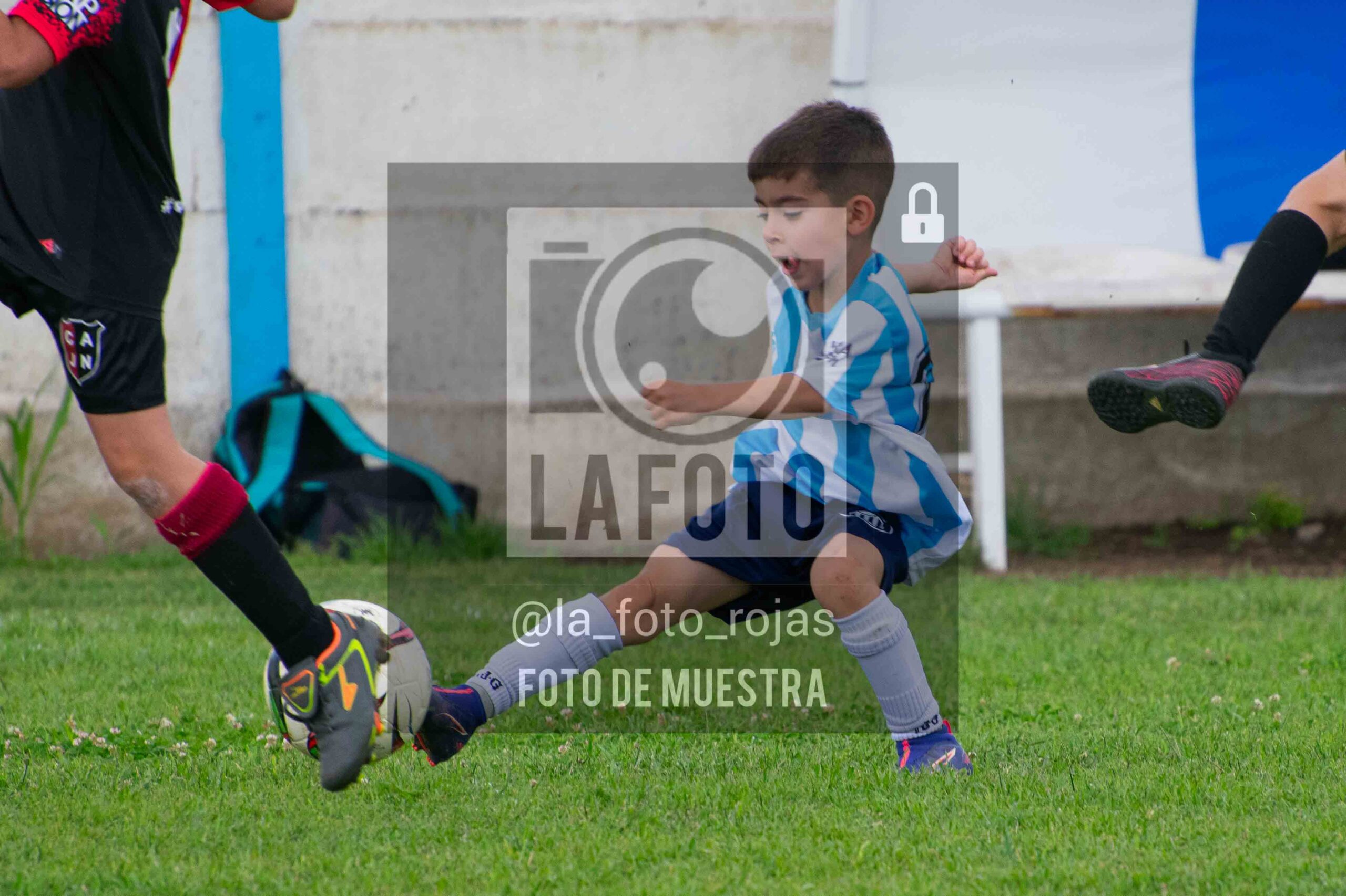 Fotografía 2018-ARG-NEW-61-scaled de ARGENTINO - NEWBERY / 2018 / 8-11