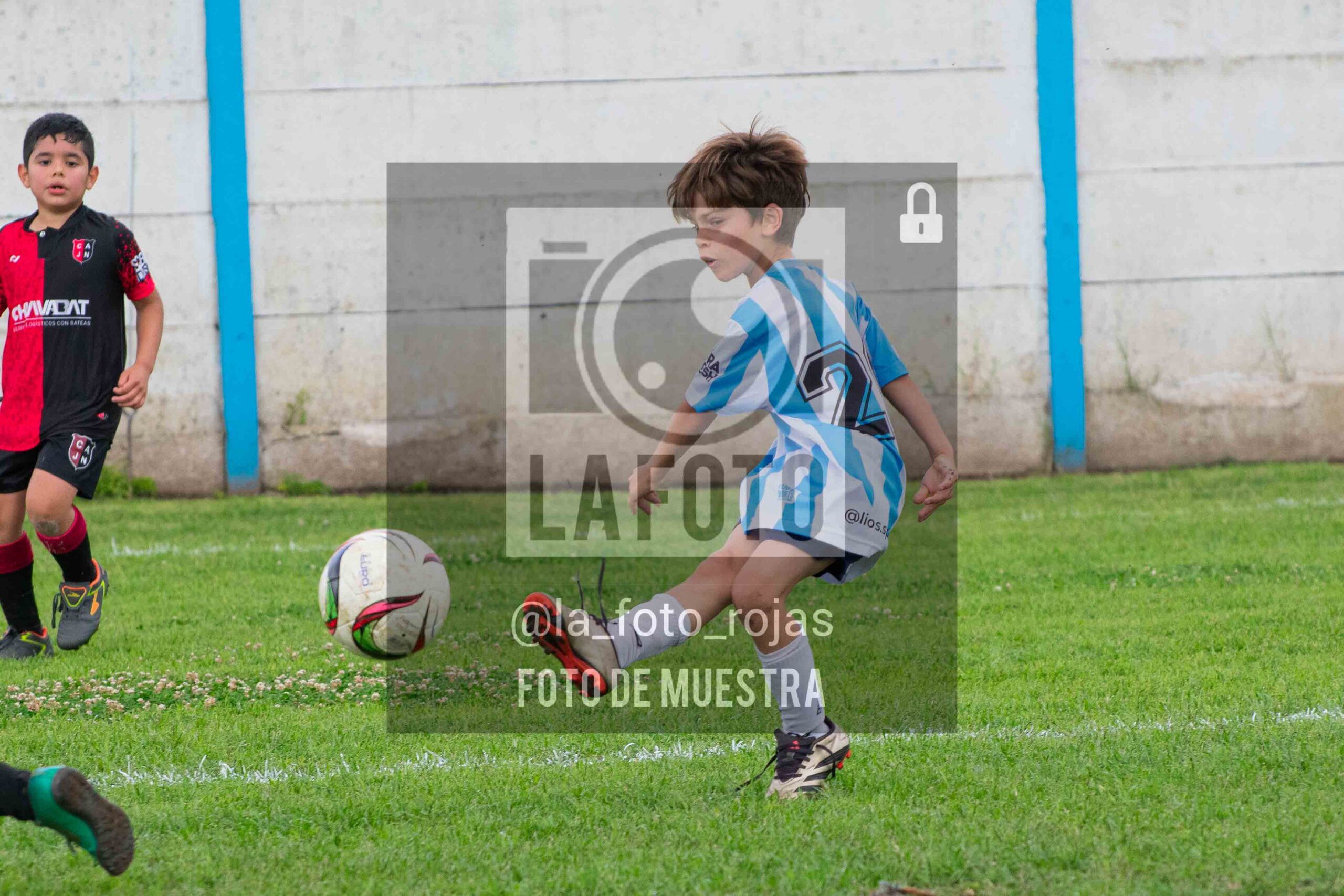 Fotografía 2018-ARG-NEW-62-scaled de ARGENTINO - NEWBERY / 2018 / 8-11