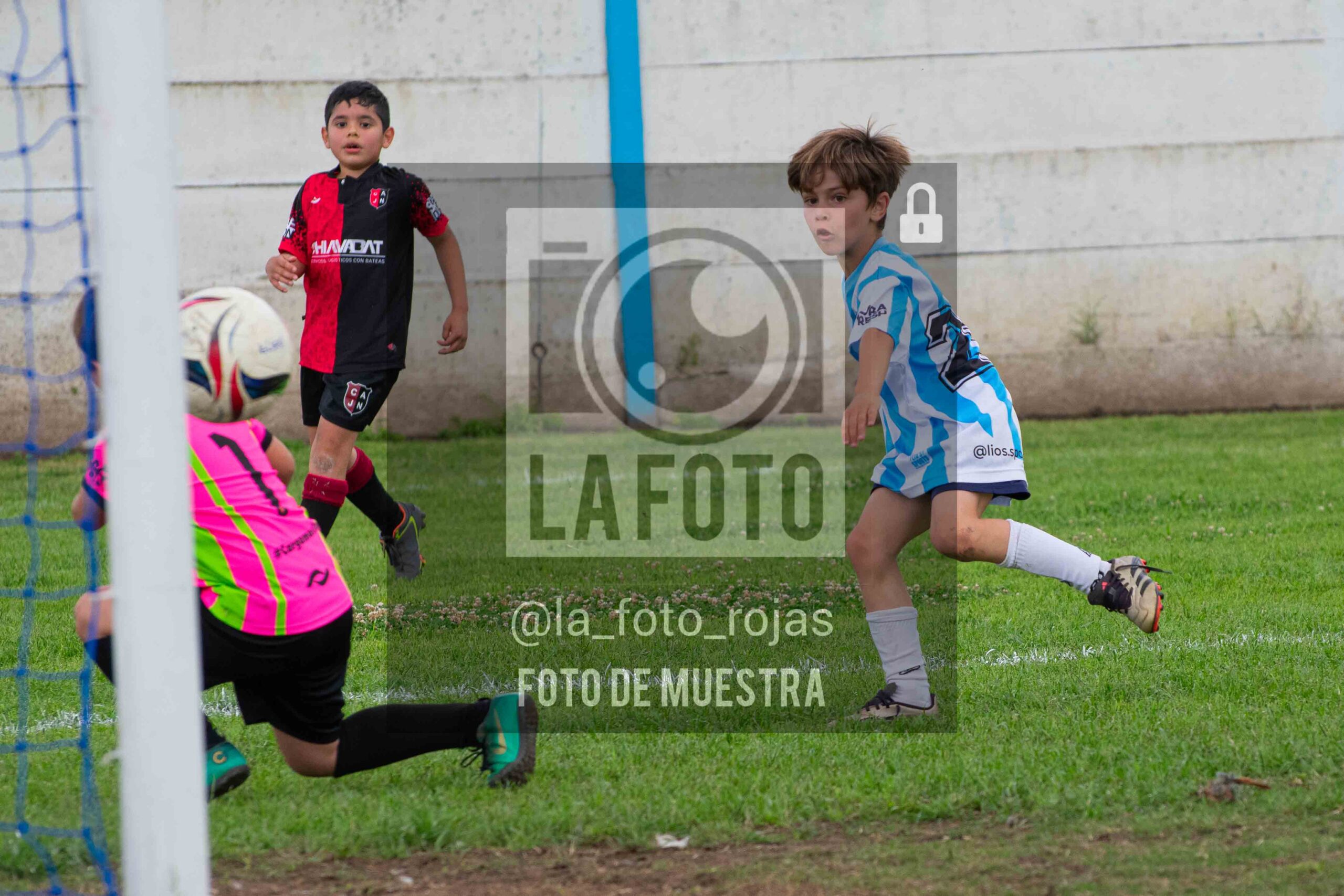 Fotografía 2018-ARG-NEW-63-scaled de ARGENTINO - NEWBERY / 2018 / 8-11