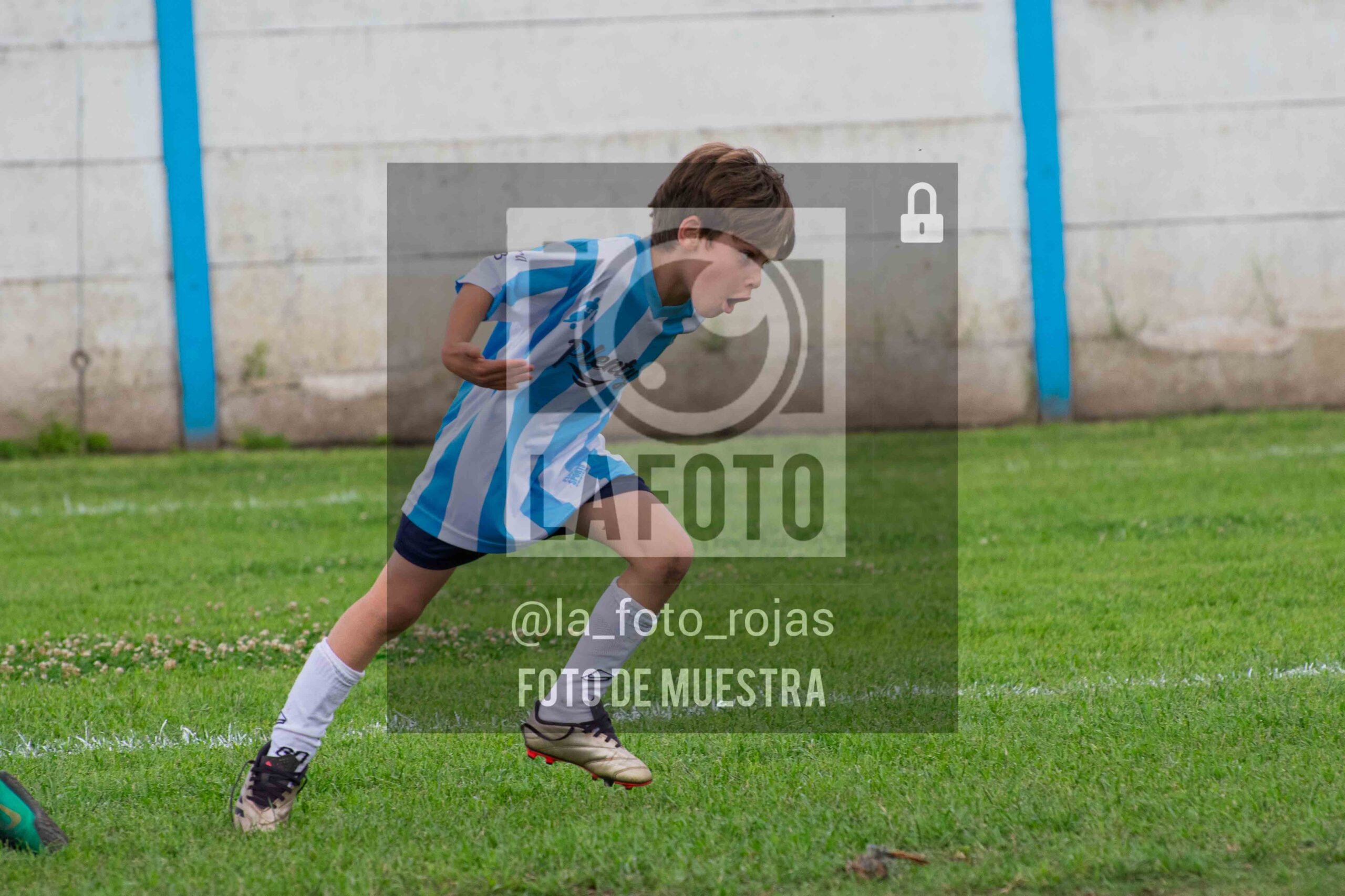 Fotografía 2018-ARG-NEW-64-scaled de ARGENTINO - NEWBERY / 2018 / 8-11