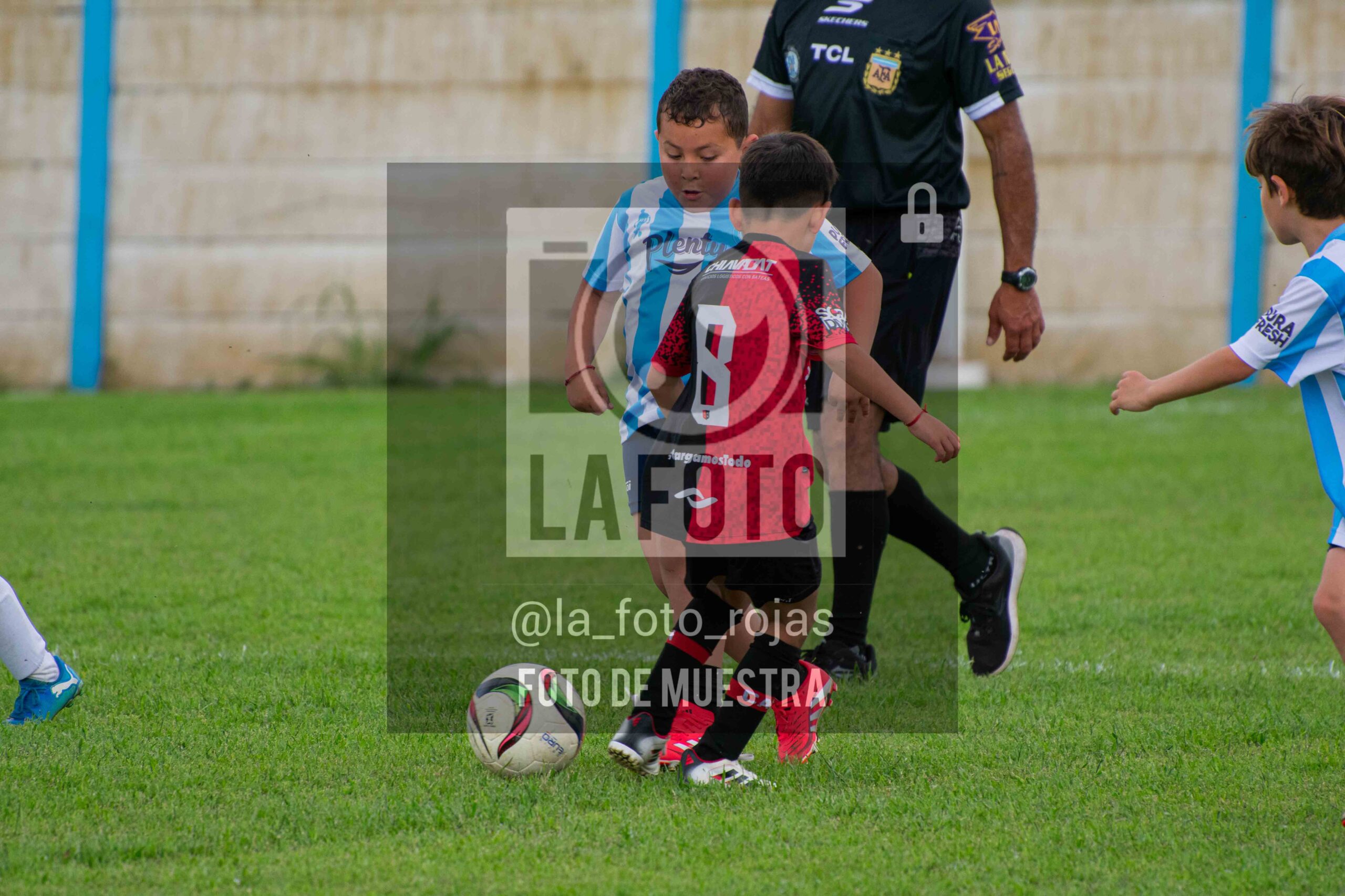 Fotografía 2018-ARG-NEW-67-scaled de ARGENTINO - NEWBERY / 2018 / 8-11