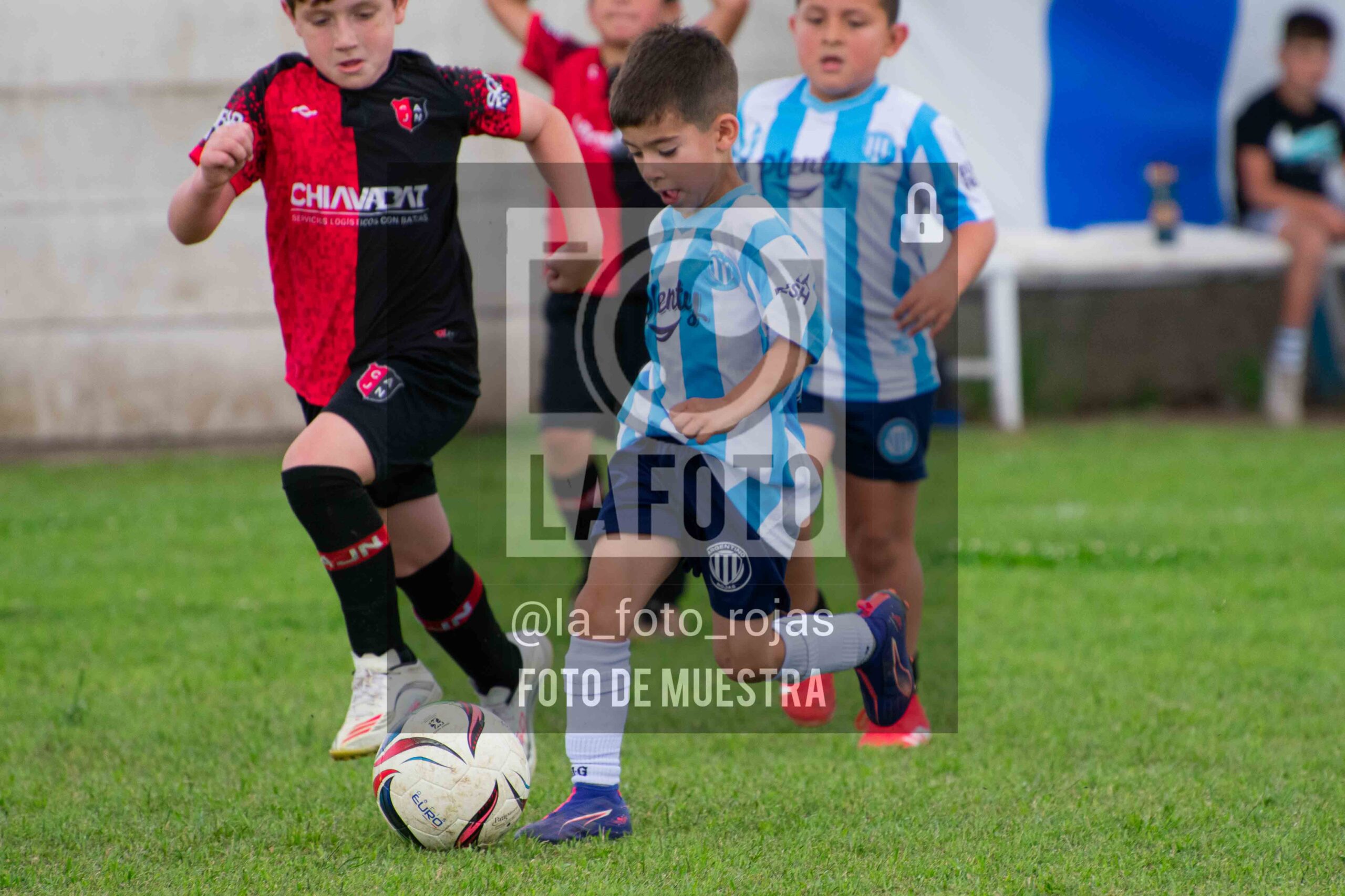 Fotografía 2018-ARG-NEW-68-1-scaled de ARGENTINO - NEWBERY / 2018 / 8-11