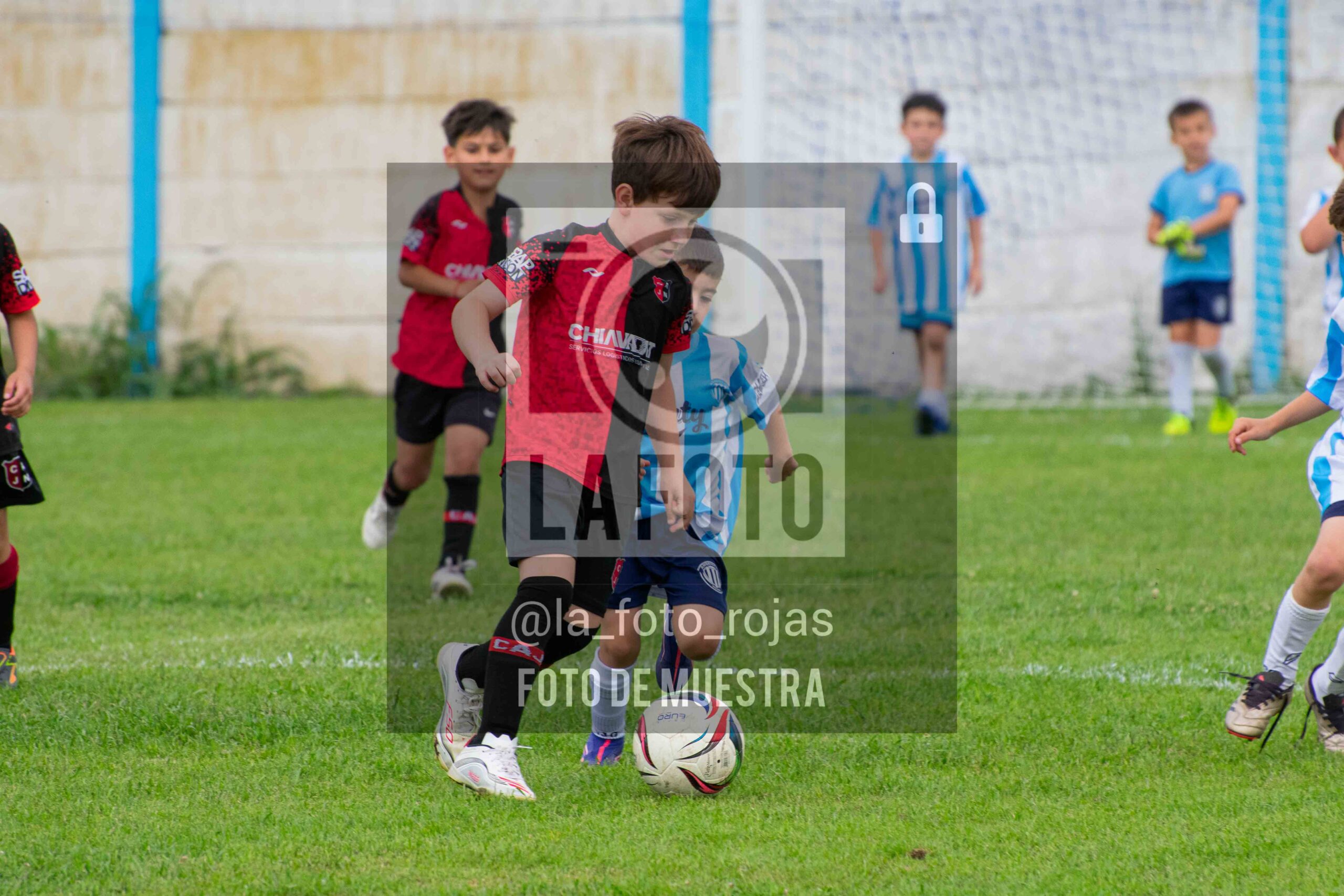 Fotografía 2018-ARG-NEW-7-scaled de ARGENTINO - NEWBERY / 2018 / 8-11