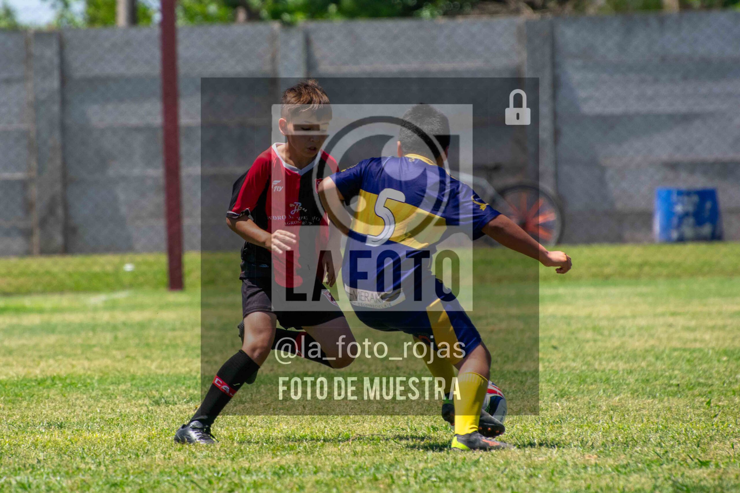 Fotografía DSC_0012-scaled de 15-11 NEWBERY BOCA / 2014