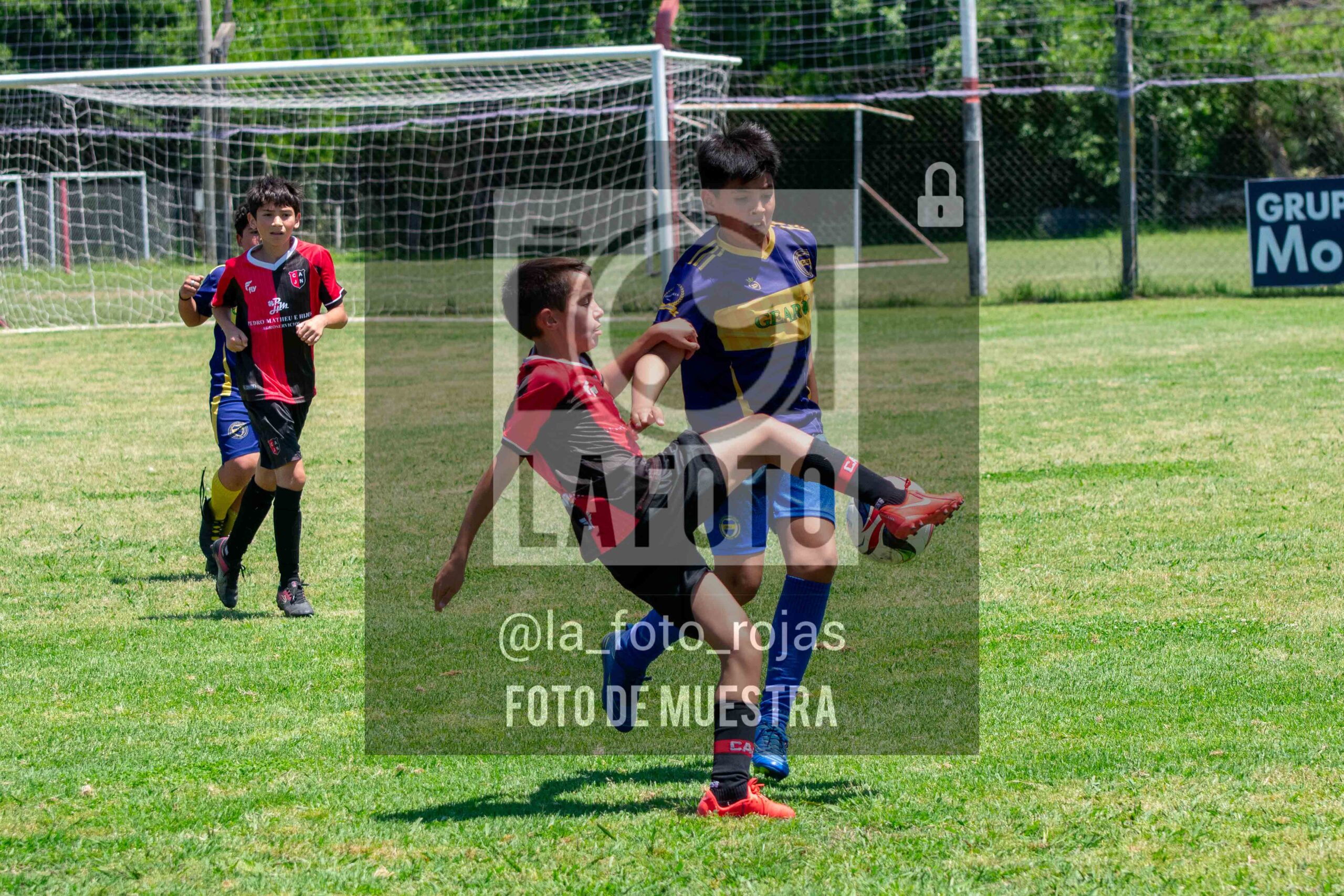 Fotografía DSC_0015-scaled de 15-11 NEWBERY BOCA / 2014