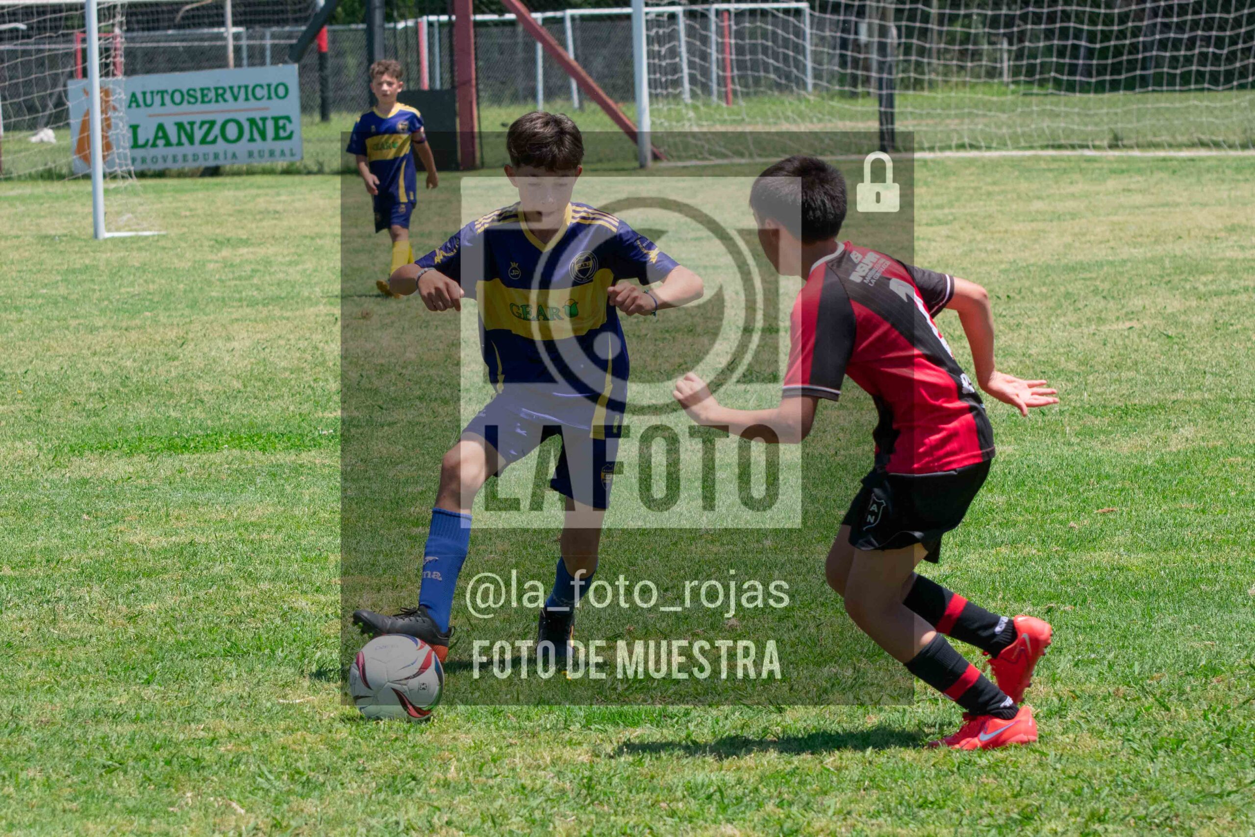 Fotografía DSC_0017-scaled de 15-11 NEWBERY BOCA / 2014