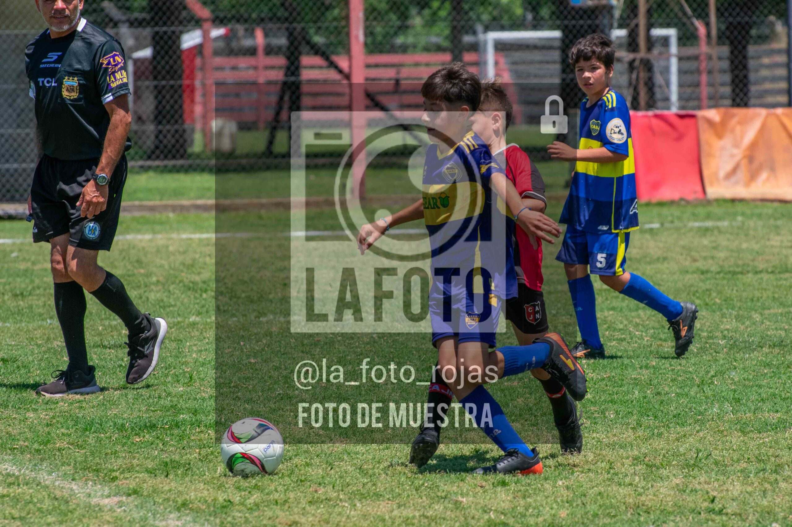 Fotografía DSC_0023-scaled de 15-11 NEWBERY BOCA / 2014
