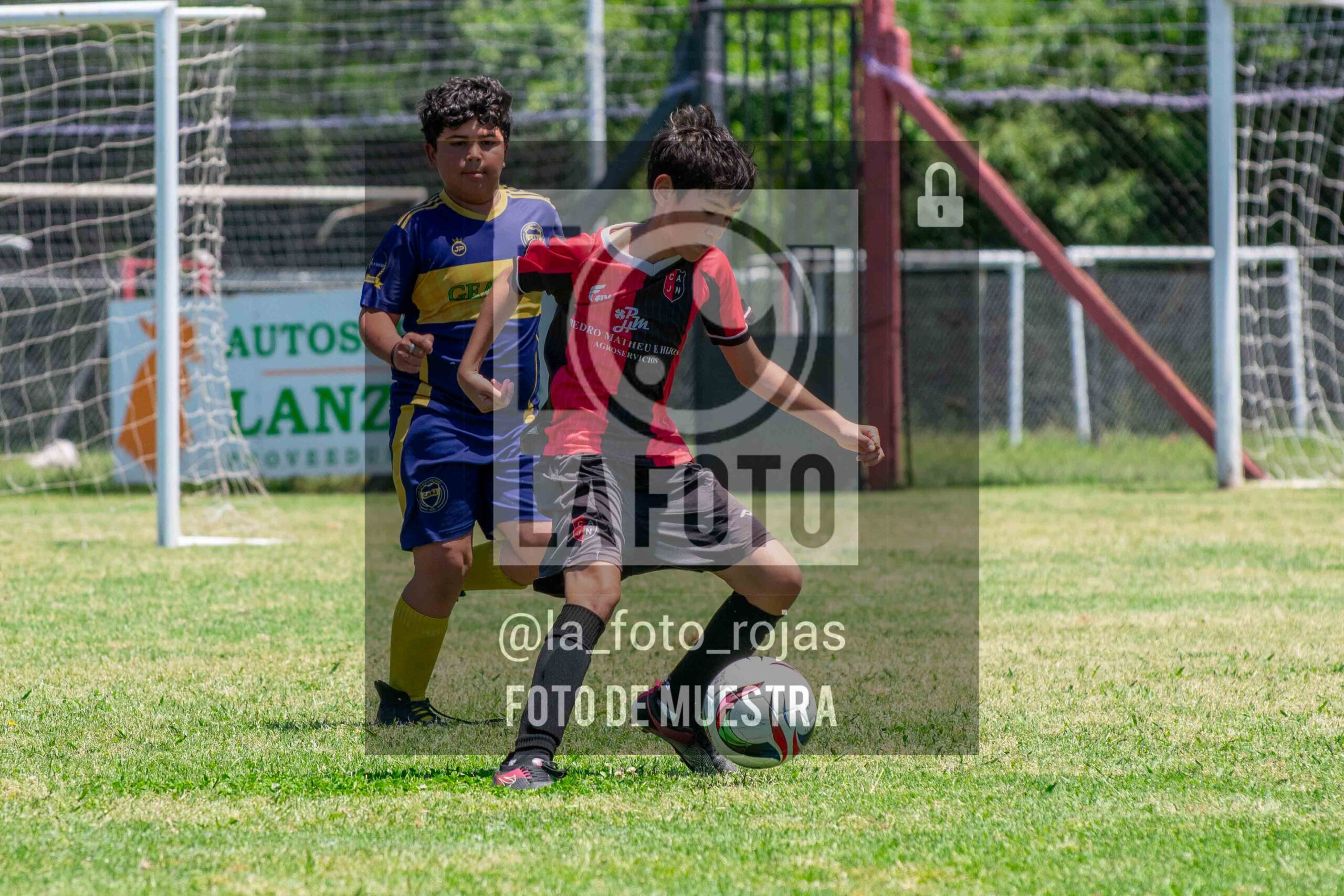 Fotografía DSC_0029-scaled de 15-11 NEWBERY BOCA / 2014