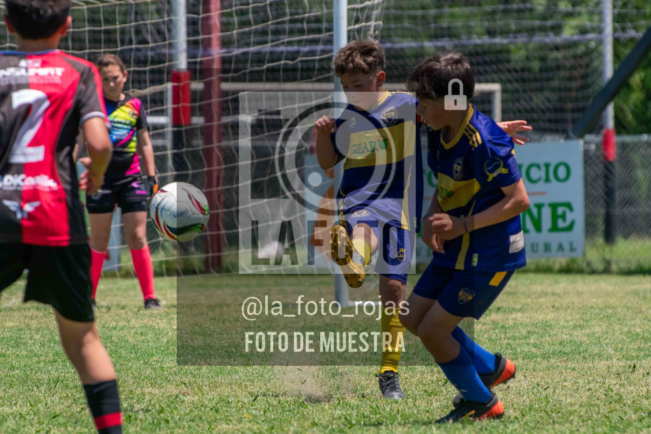 Fotografía DSC_0030-scaled de 15-11 NEWBERY BOCA / 2014