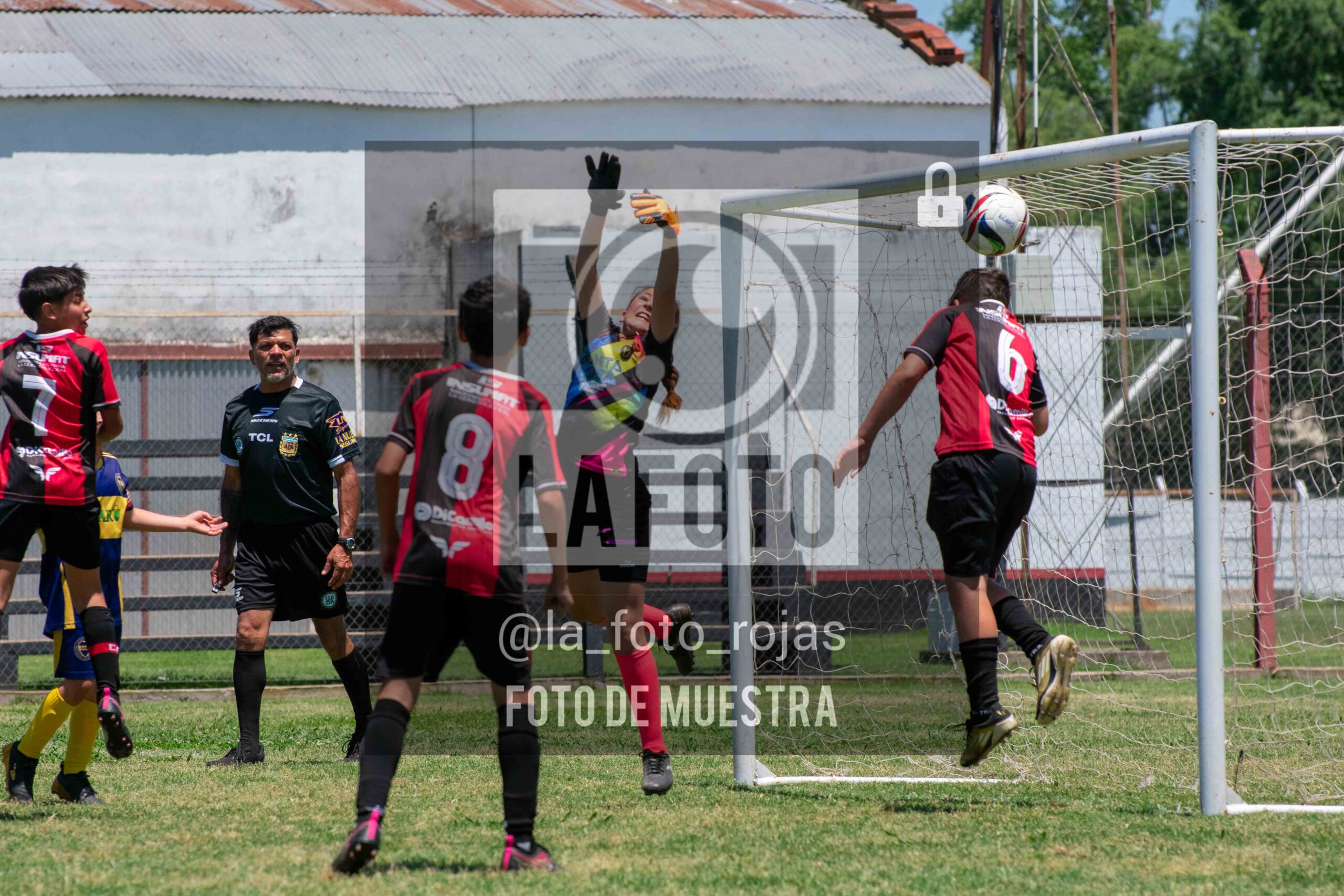 Fotografía DSC_0034-1-scaled de 15-11 NEWBERY BOCA / 2014