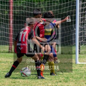 Fotografía DSC_0062-scaled de 15-11 NEWBERY BOCA / 2014