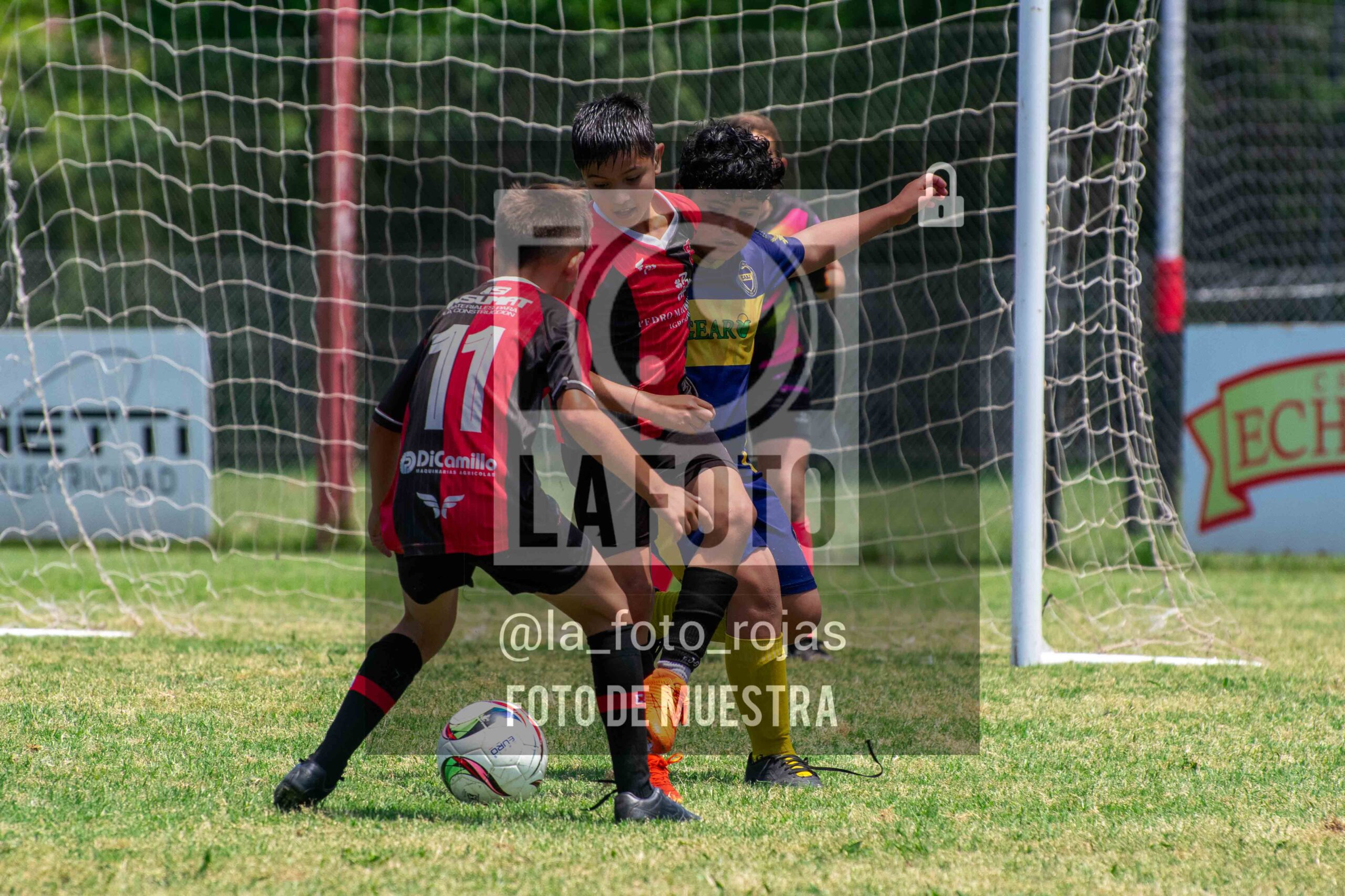 Fotografía DSC_0062-scaled de 15-11 NEWBERY BOCA / 2014