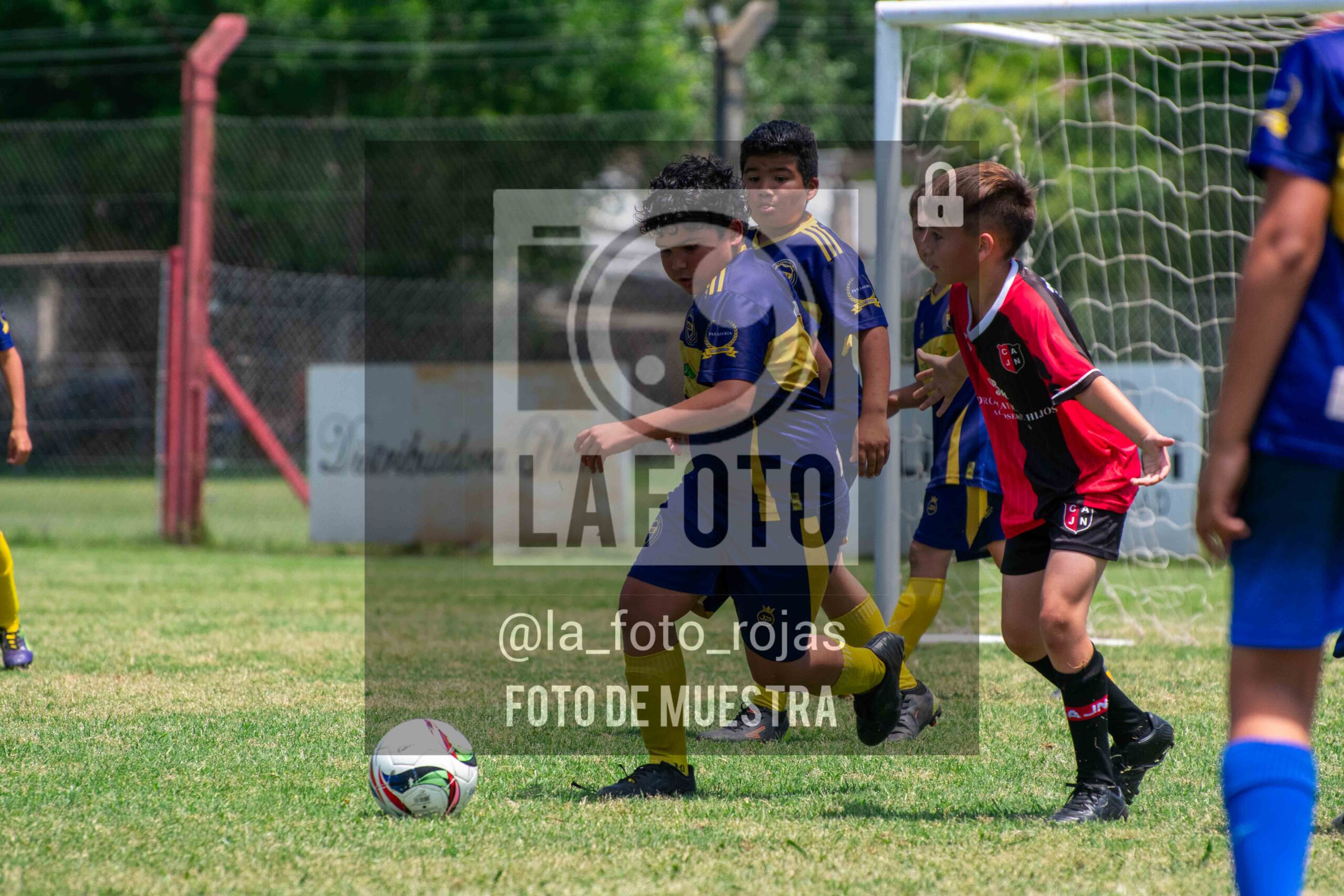 Fotografía DSC_0063-scaled de 15-11 NEWBERY BOCA / 2014