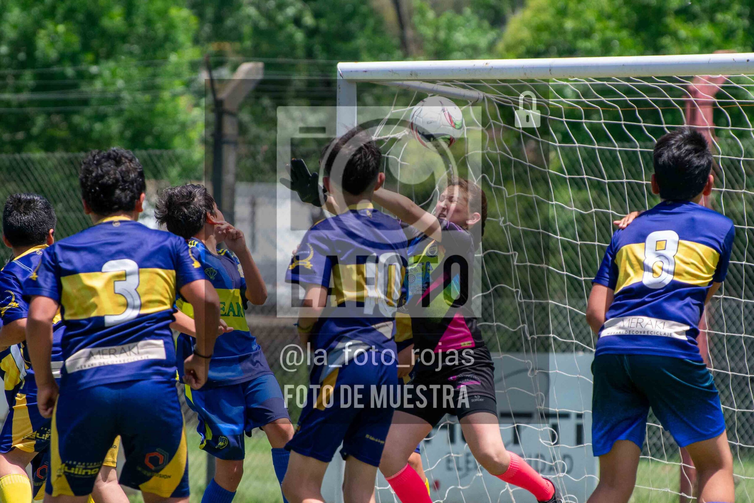 Fotografía DSC_0064-scaled de 15-11 NEWBERY BOCA / 2014