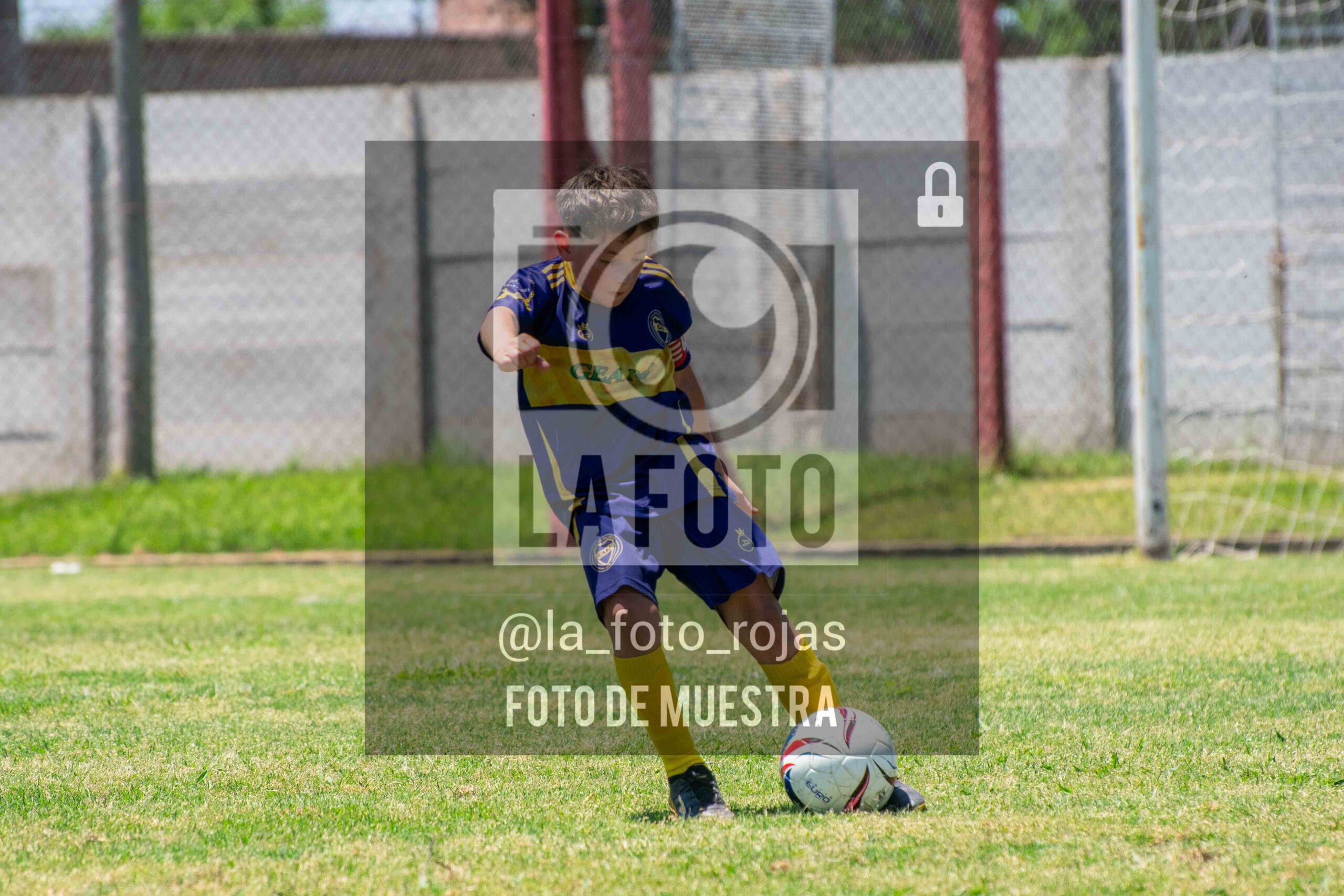 Fotografía DSC_0088-scaled de 15-11 NEWBERY BOCA / 2014