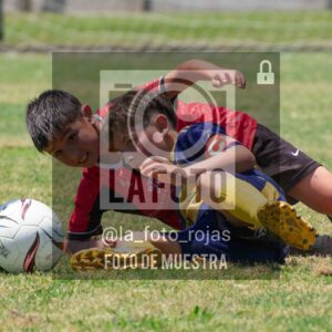 Fotografía DSC_0090-scaled de 15-11 NEWBERY BOCA / 2014