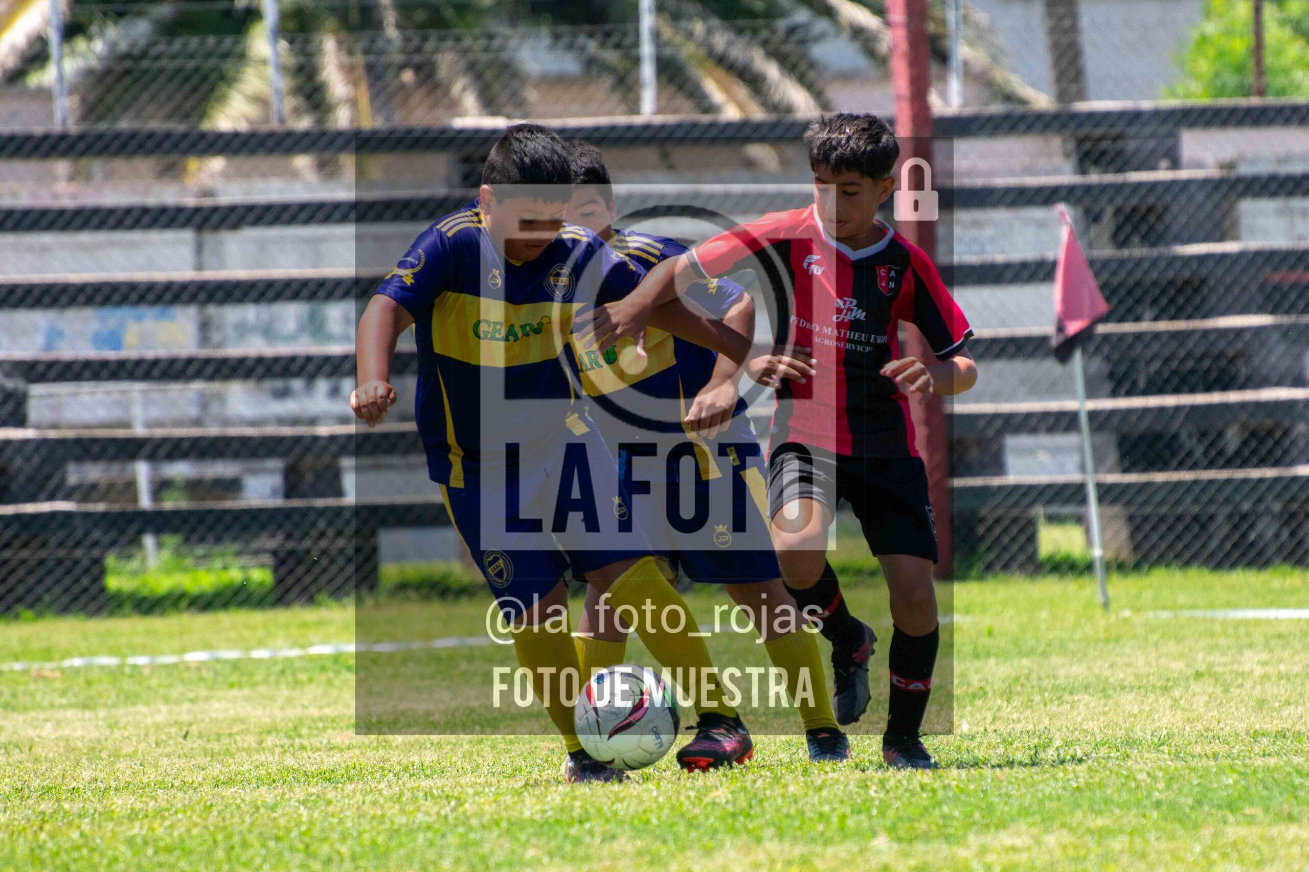 Fotografía DSC_0100-scaled de 15-11 NEWBERY BOCA / 2014