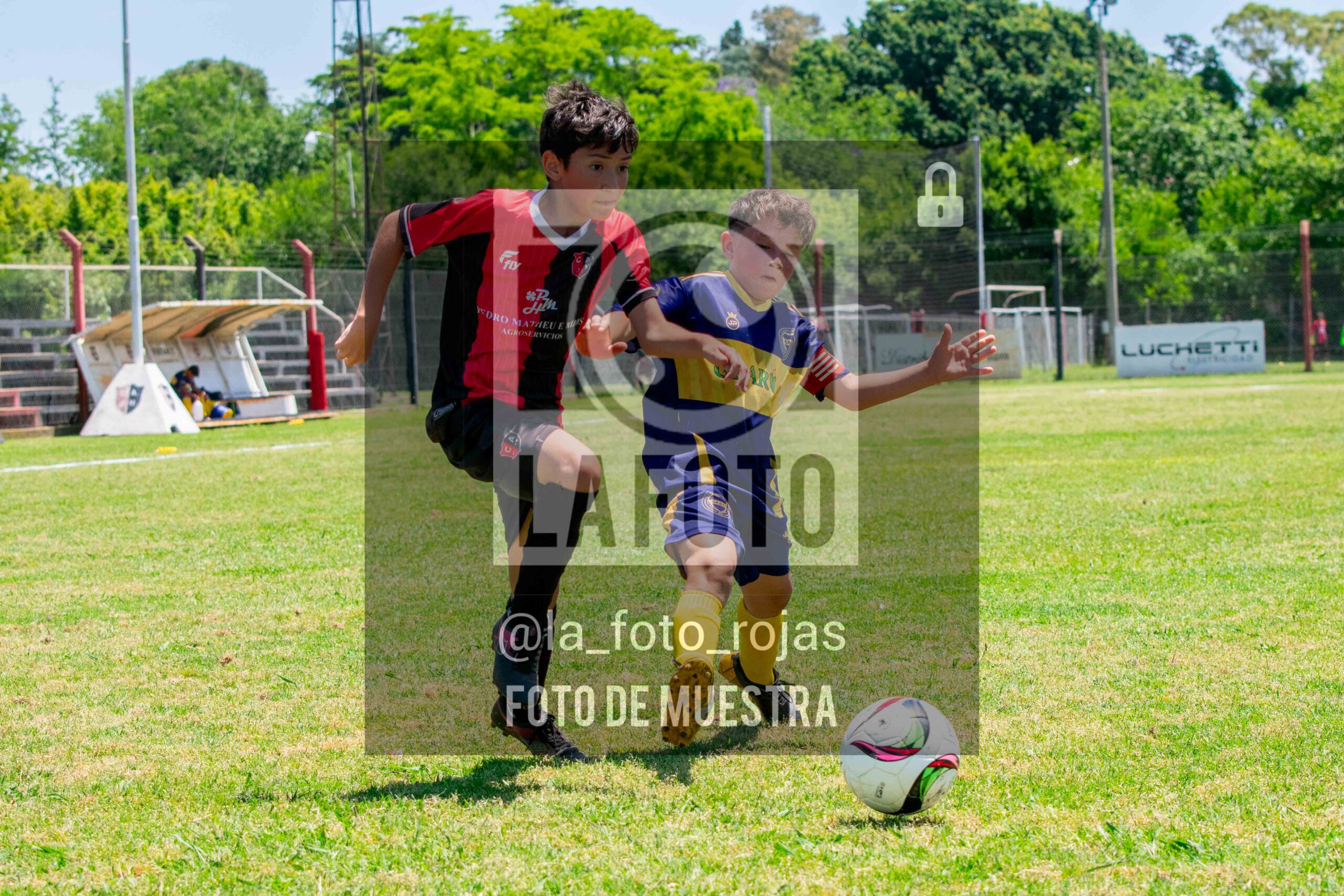 Fotografía DSC_0109-scaled de 15-11 NEWBERY BOCA / 2014