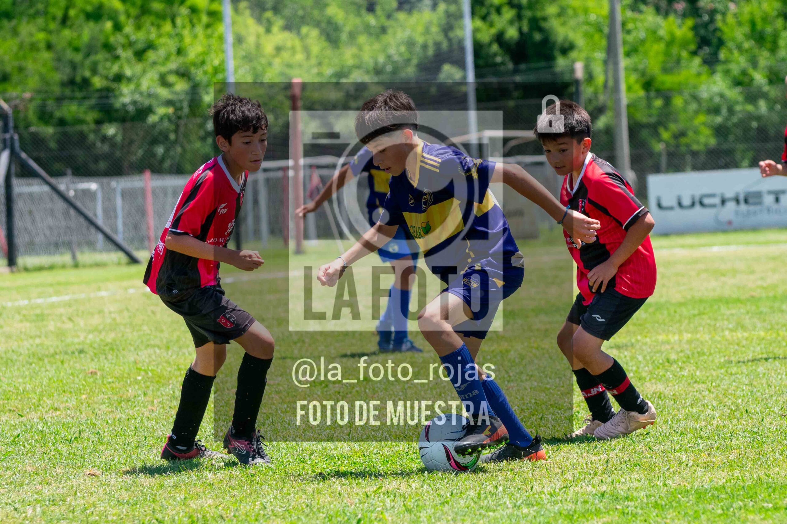 Fotografía DSC_0115-scaled de 15-11 NEWBERY BOCA / 2014