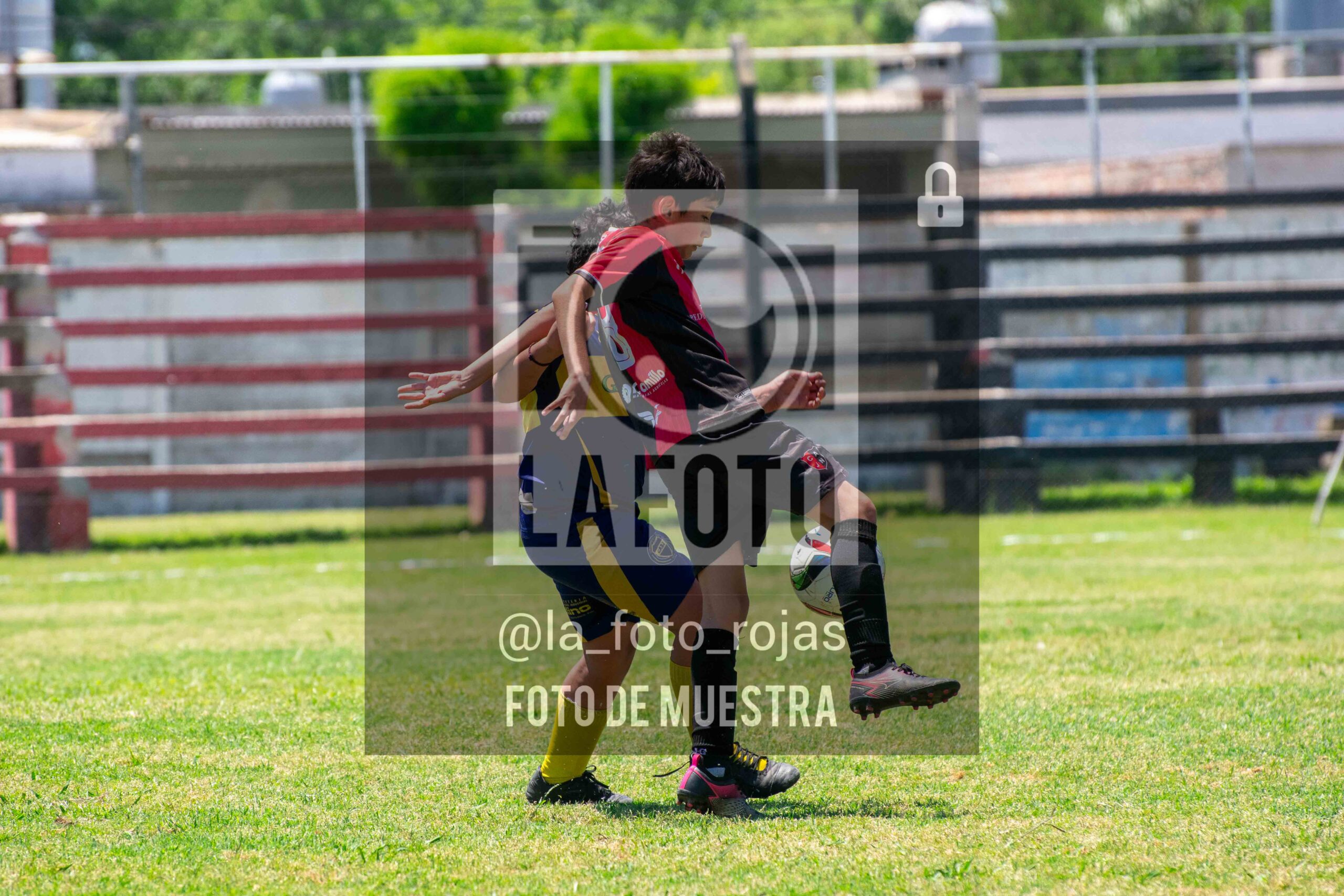 Fotografía DSC_0117-scaled de 15-11 NEWBERY BOCA / 2014