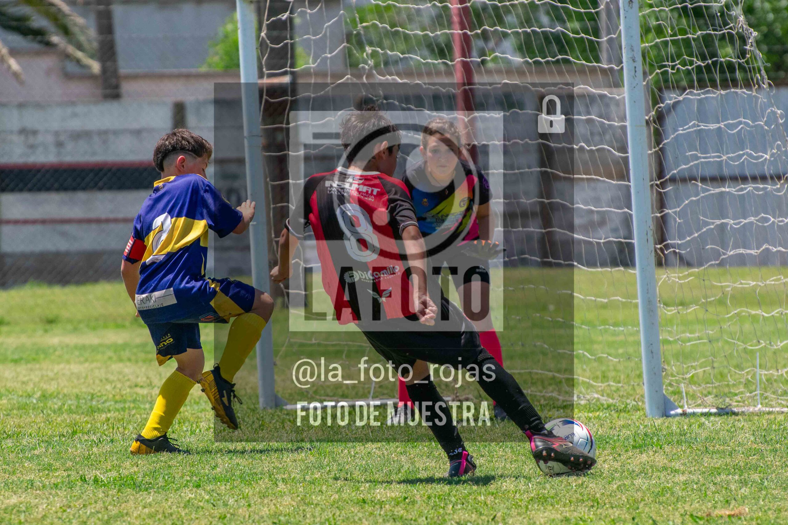 Fotografía DSC_0118-scaled de 15-11 NEWBERY BOCA / 2014