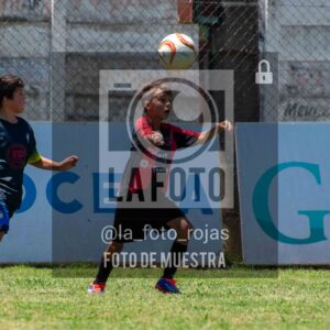 Fotografía DSC_0131-scaled de 15-11 NEWBERY BOCA / SUB12