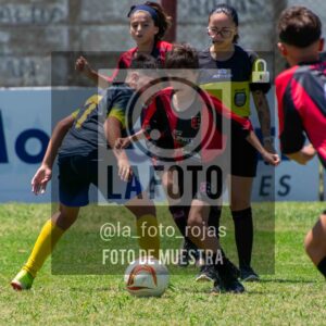 Fotografía DSC_0135-scaled de 15-11 NEWBERY BOCA / SUB12