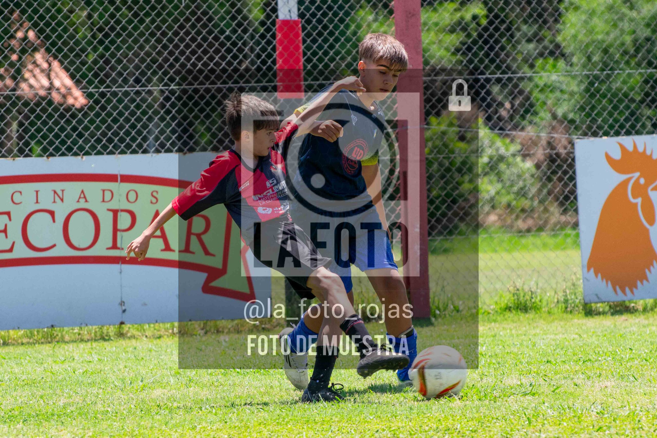 Fotografía DSC_0144-scaled de 15-11 NEWBERY BOCA / SUB12