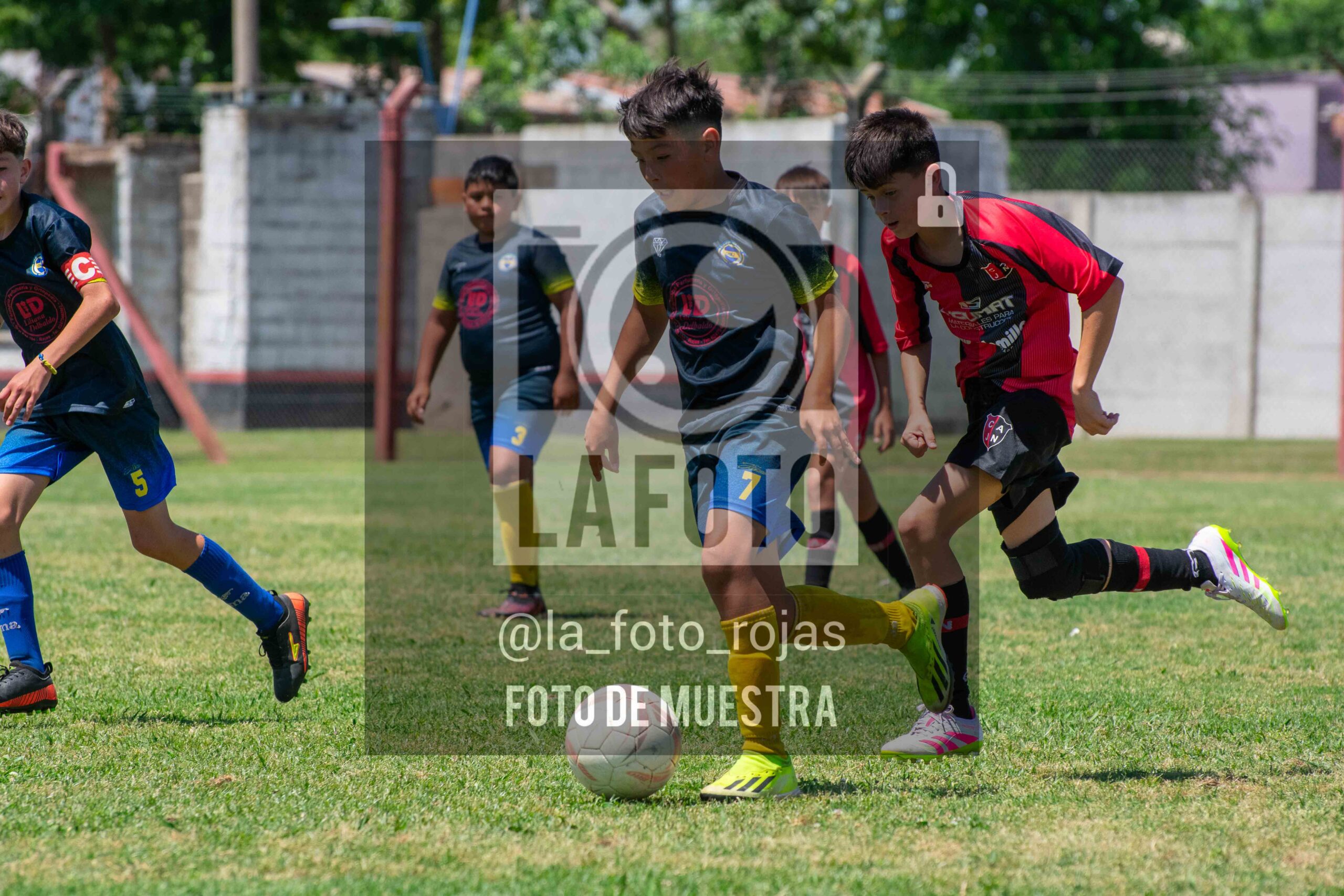 Fotografía DSC_0219-scaled de 15-11 NEWBERY BOCA / SUB12
