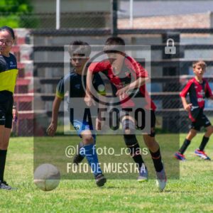 Fotografía DSC_0228-scaled de 15-11 NEWBERY BOCA / SUB12
