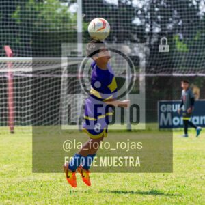 Fotografía DSC_0271-2-scaled de 15-11 NEWBERY BOCA / SUB13