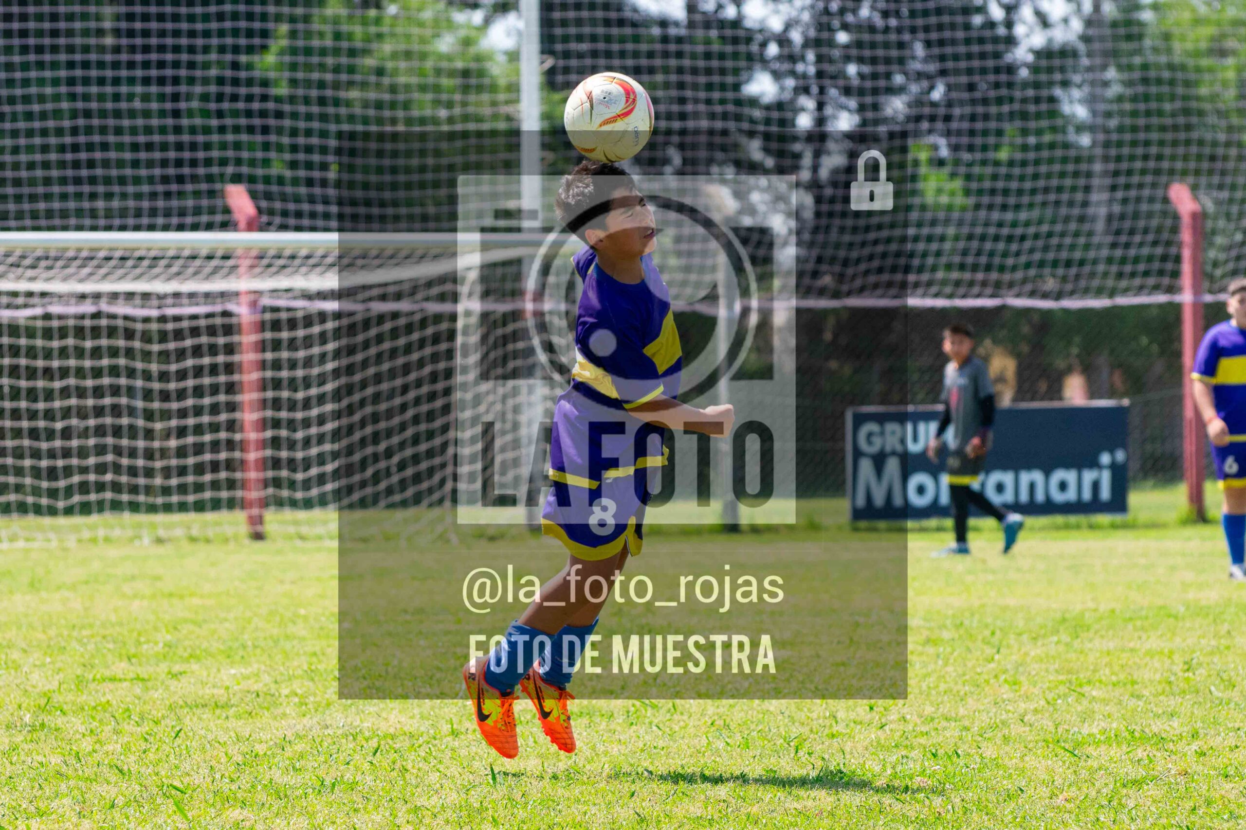 Fotografía DSC_0271-2-scaled de 15-11 NEWBERY BOCA / SUB13