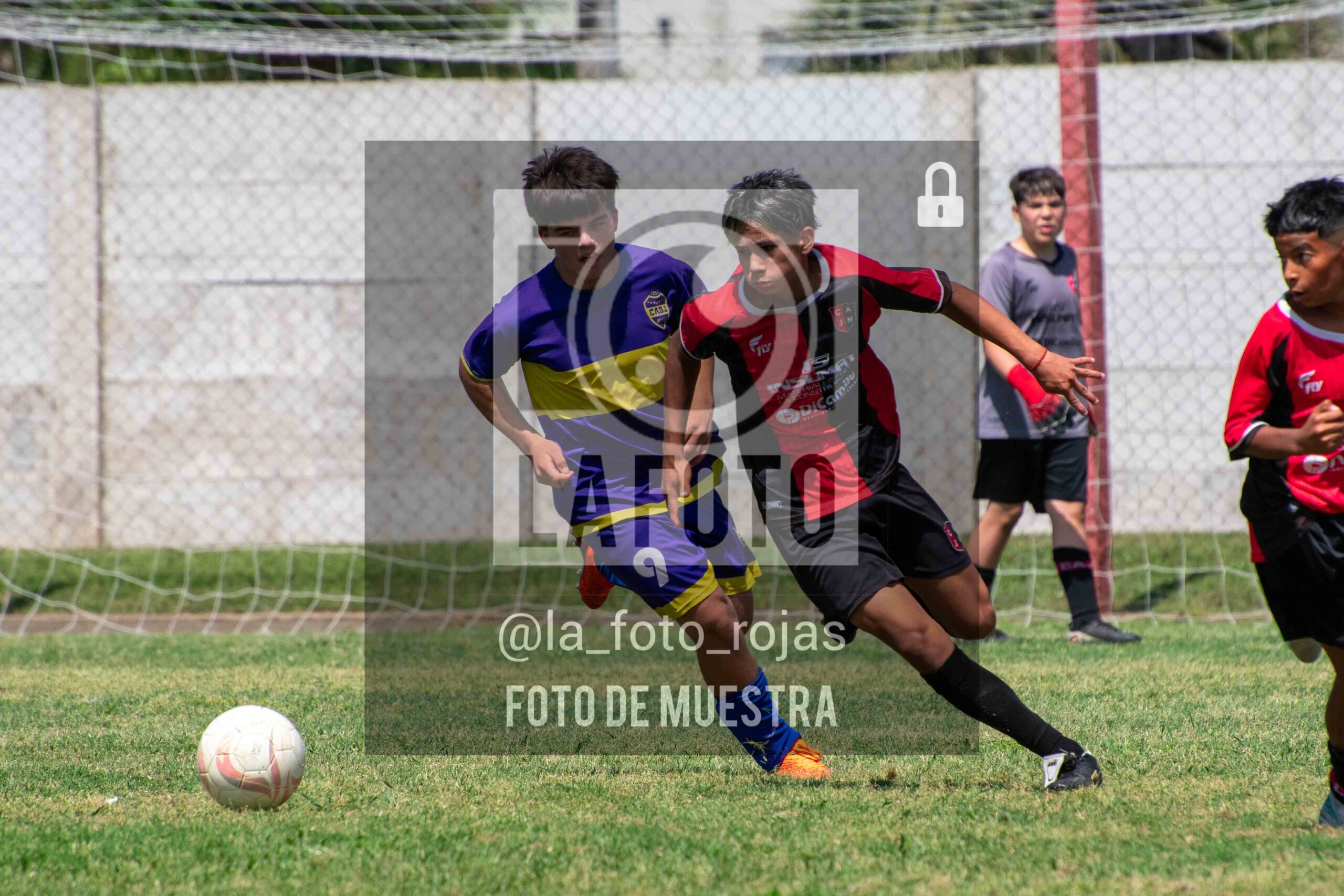 Fotografía DSC_0275-scaled de 15-11 NEWBERY BOCA / SUB13