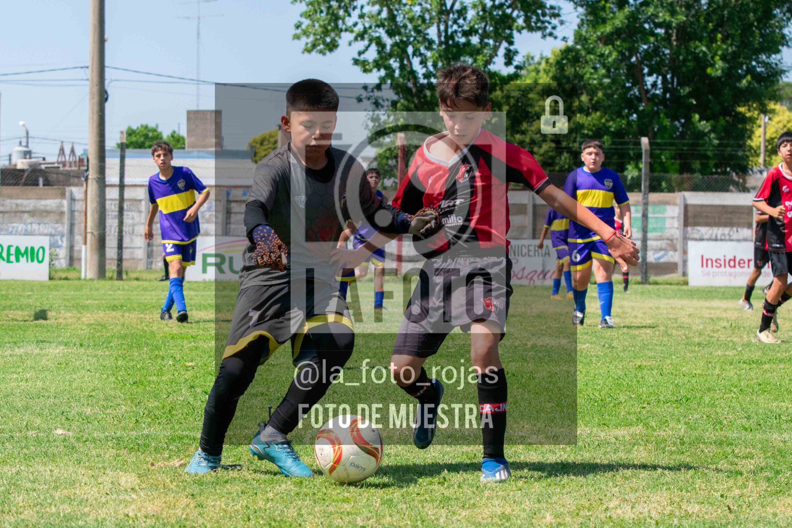 Fotografía DSC_0291-scaled de 15-11 NEWBERY BOCA / SUB13
