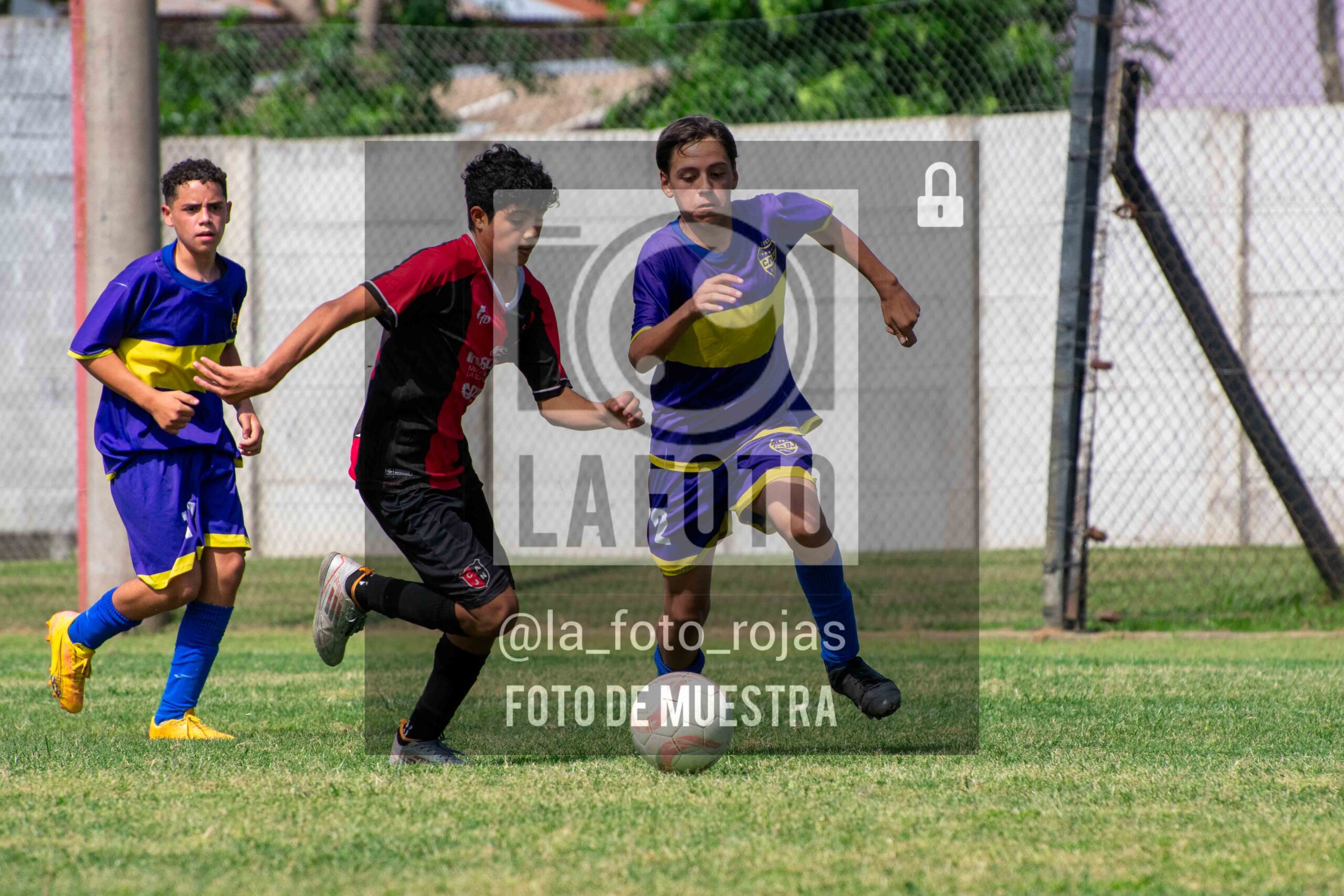 Fotografía DSC_0314-scaled de 15-11 NEWBERY BOCA / SUB13
