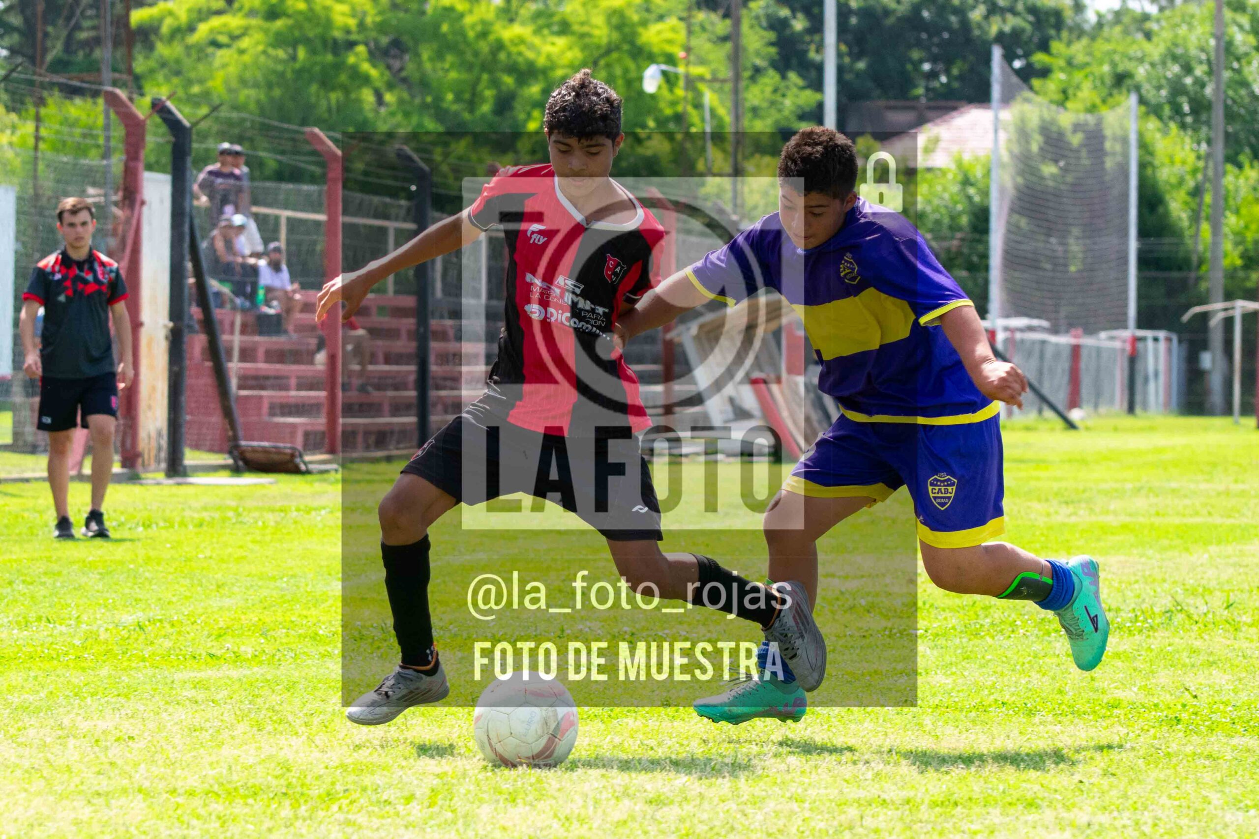 Fotografía DSC_0320-scaled de 15-11 NEWBERY BOCA / SUB13