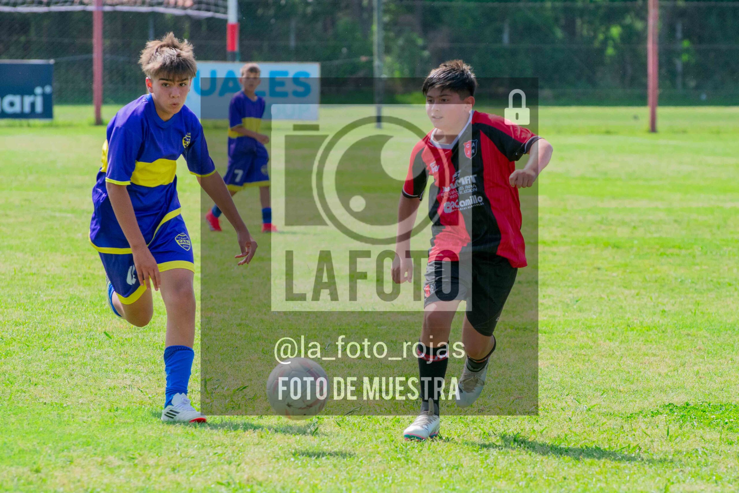 Fotografía DSC_0323-scaled de 15-11 NEWBERY BOCA / SUB13