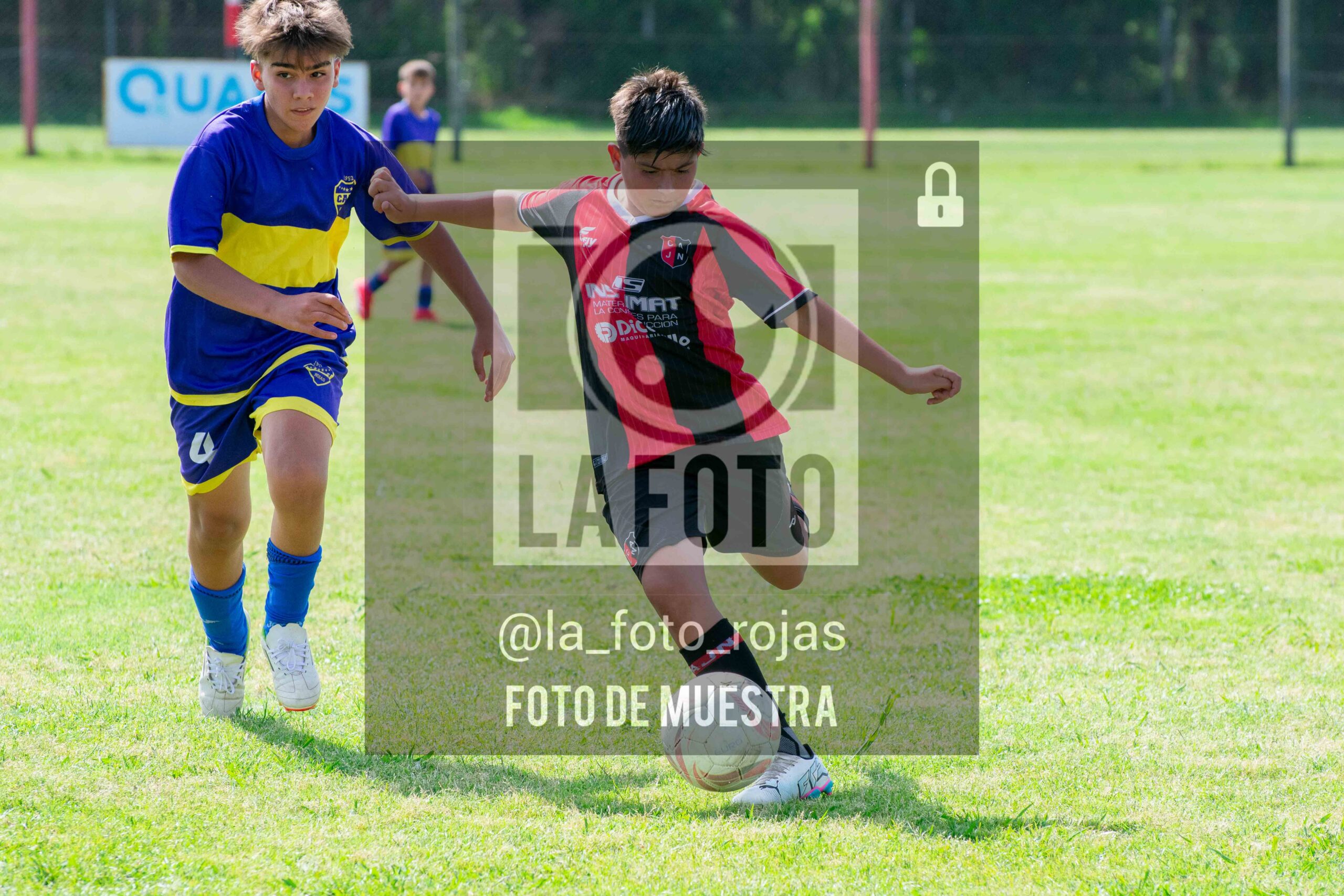 Fotografía DSC_0324-scaled de 15-11 NEWBERY BOCA / SUB13