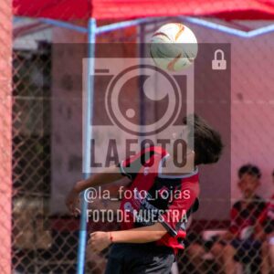 Fotografía DSC_0351 de 15-11 NEWBERY BOCA / SUB13