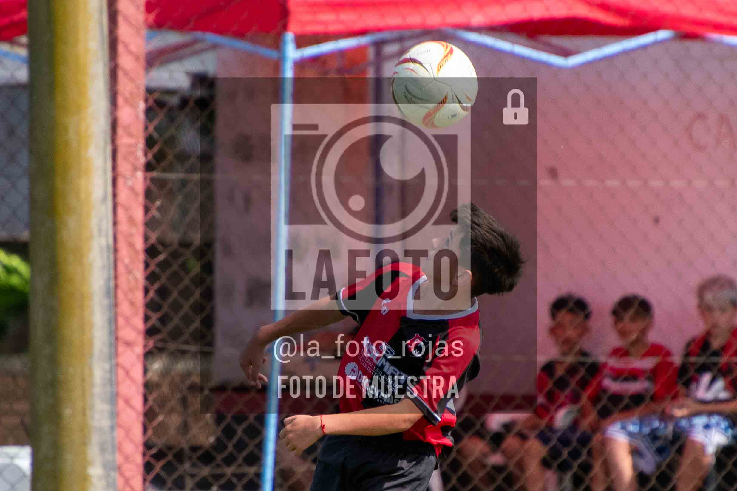 Fotografía DSC_0351 de 15-11 NEWBERY BOCA / SUB13