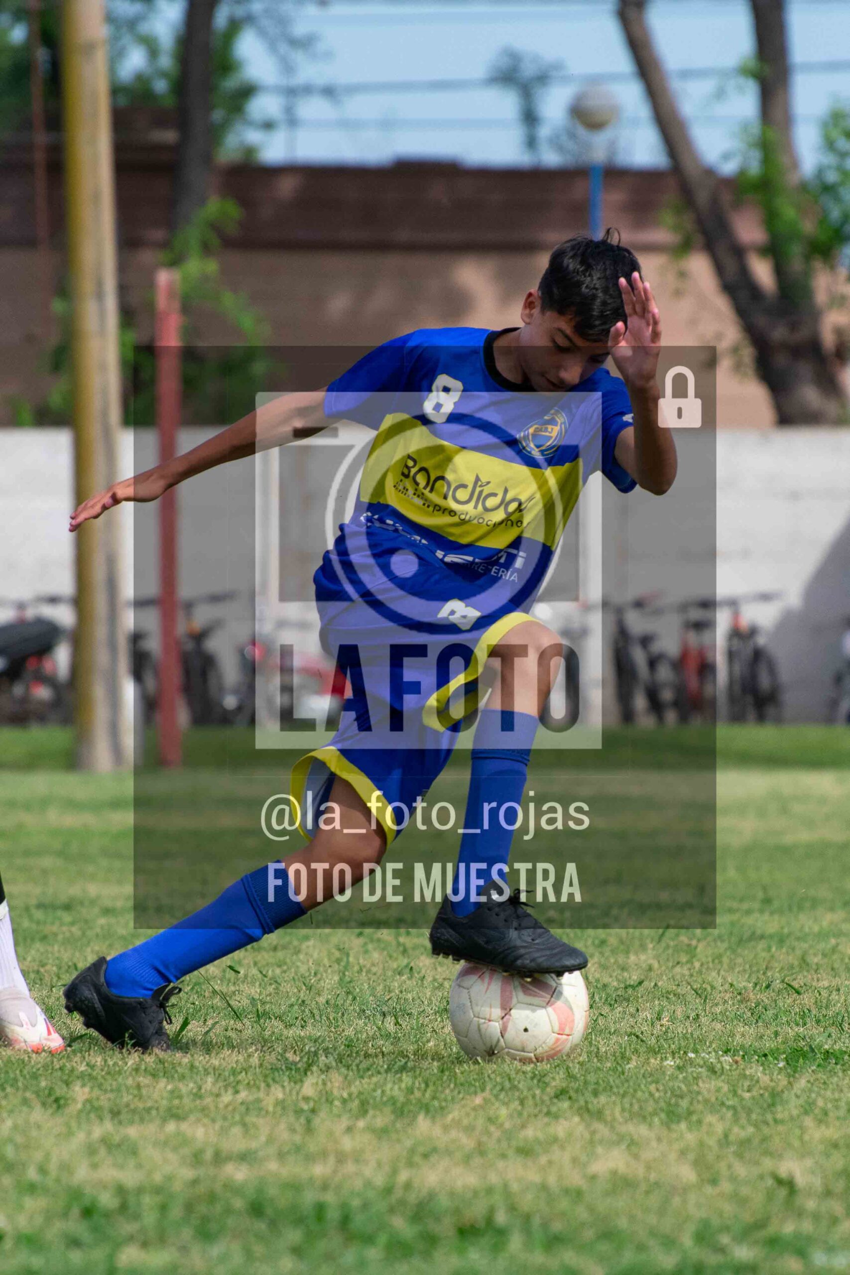 Fotografía DSC_0403-scaled de 15-11 NEWBERY BOCA / SUB15