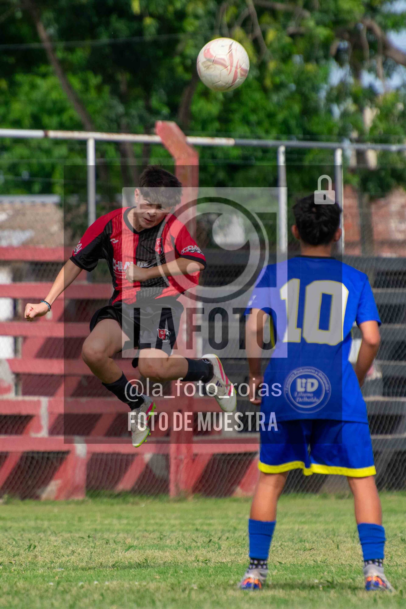 Fotografía DSC_0407-scaled de 15-11 NEWBERY BOCA / SUB15