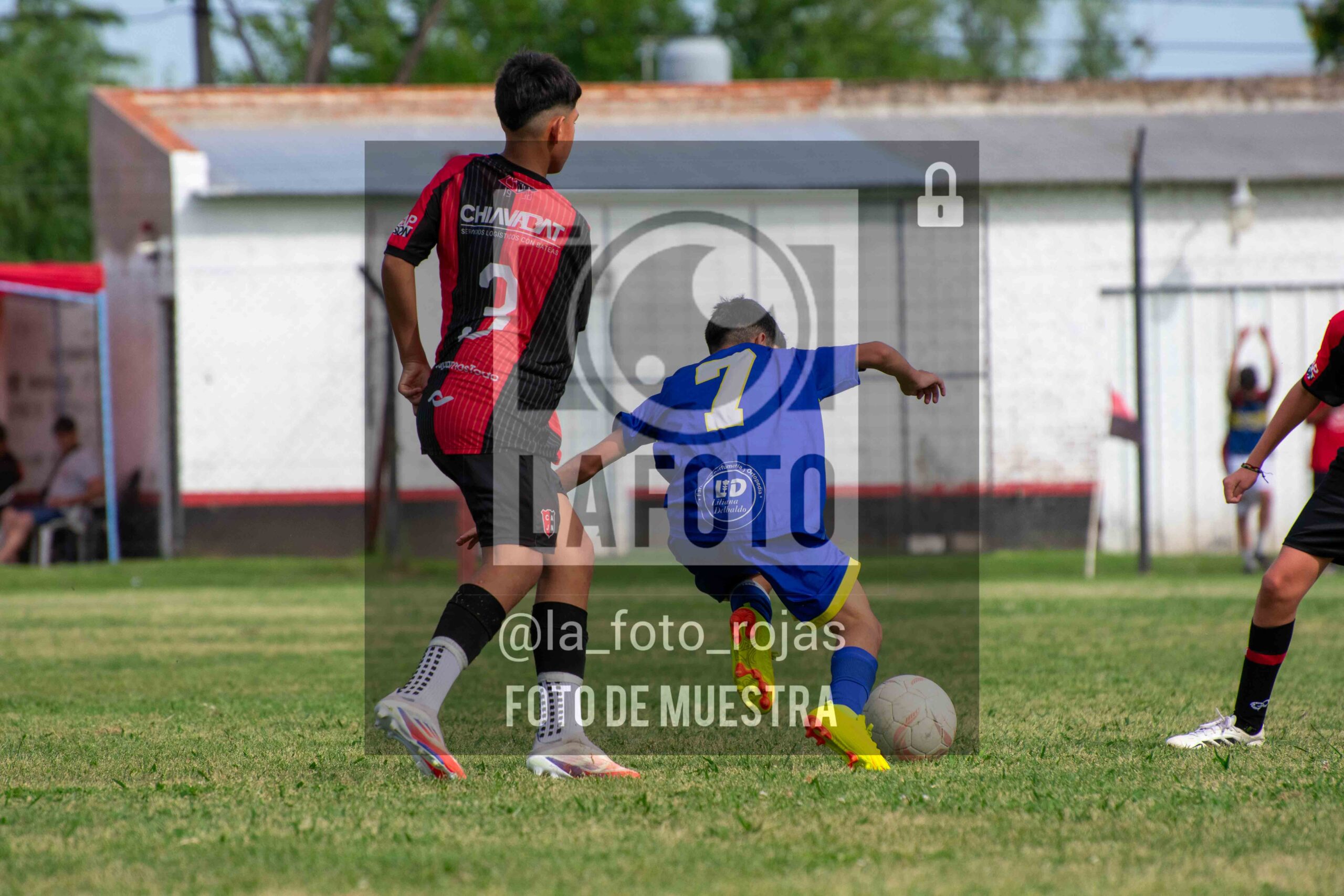 Fotografía DSC_0416-scaled de 15-11 NEWBERY BOCA / SUB15