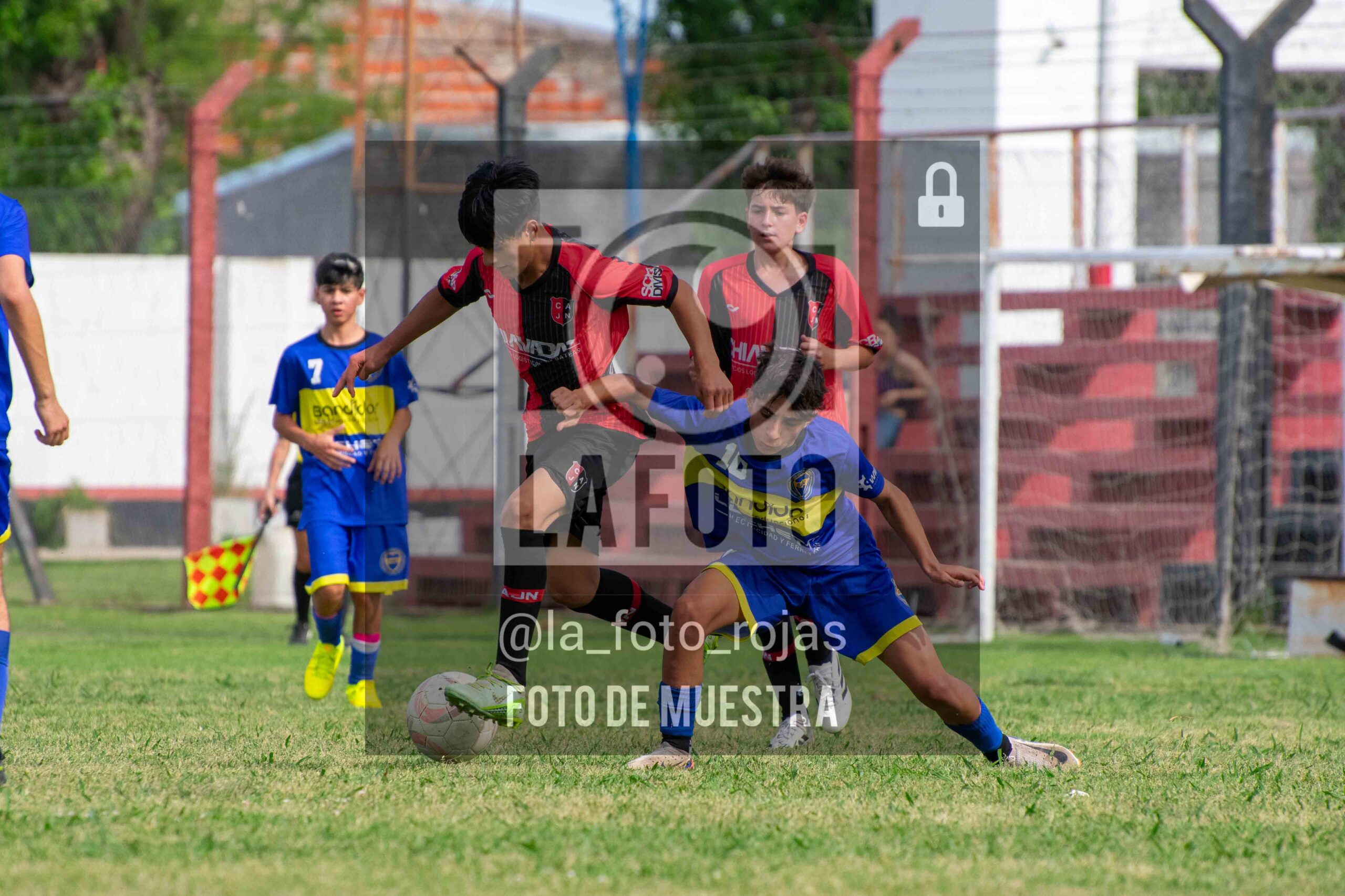 Fotografía DSC_0419-1-scaled de 15-11 NEWBERY BOCA / SUB15
