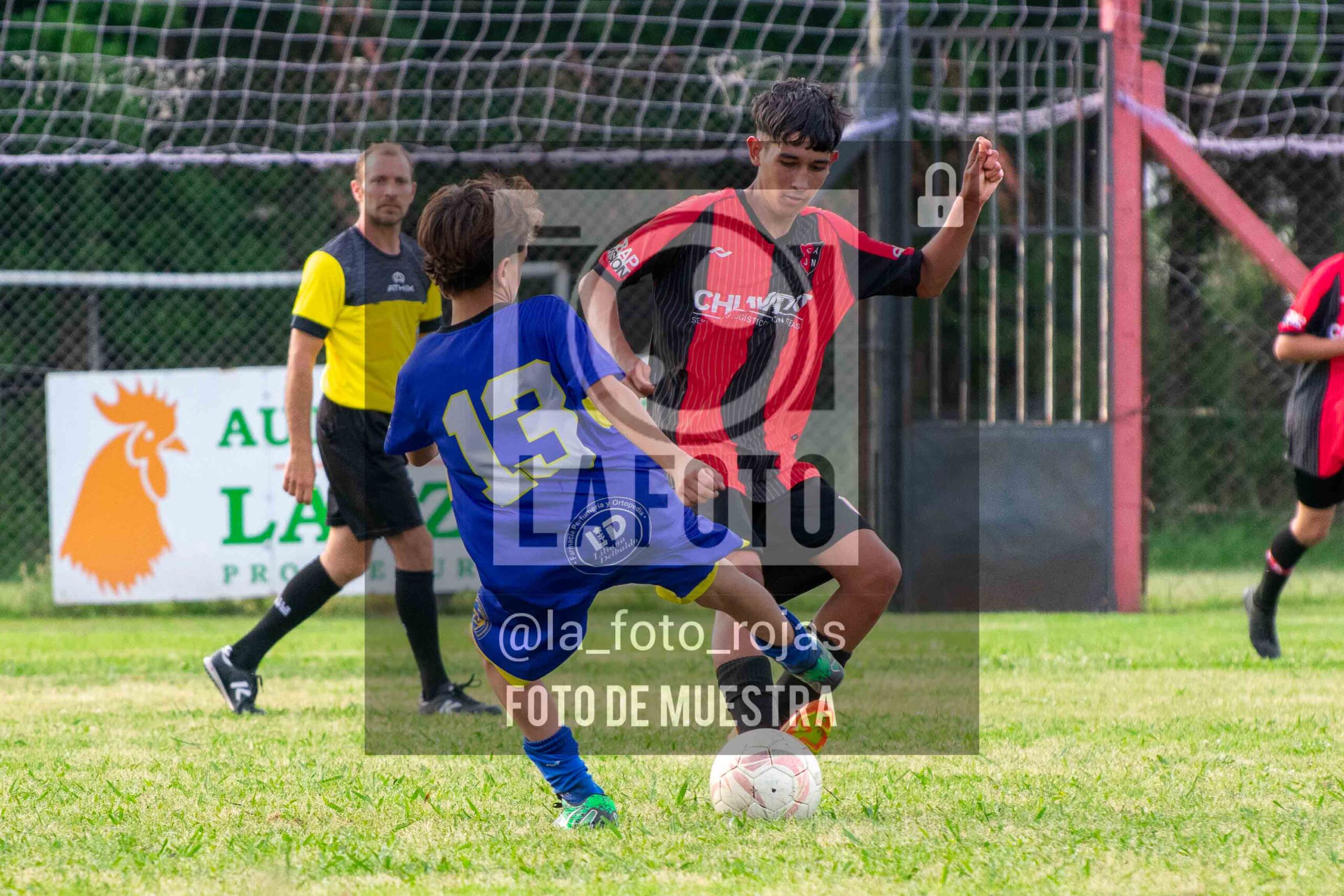 Fotografía DSC_0450-scaled de 15-11 NEWBERY BOCA / SUB15