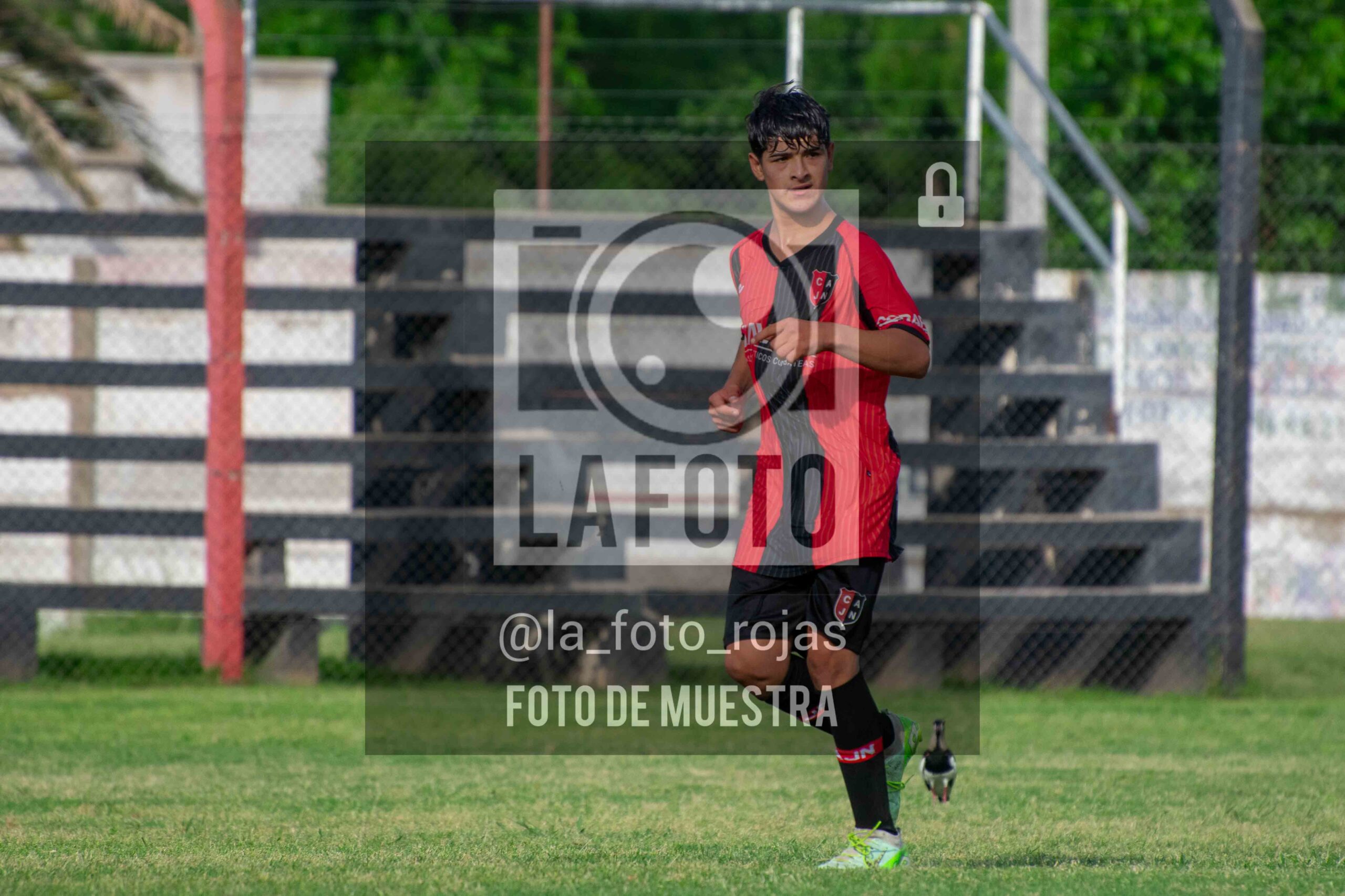 Fotografía DSC_0451-scaled de 15-11 NEWBERY BOCA / SUB15