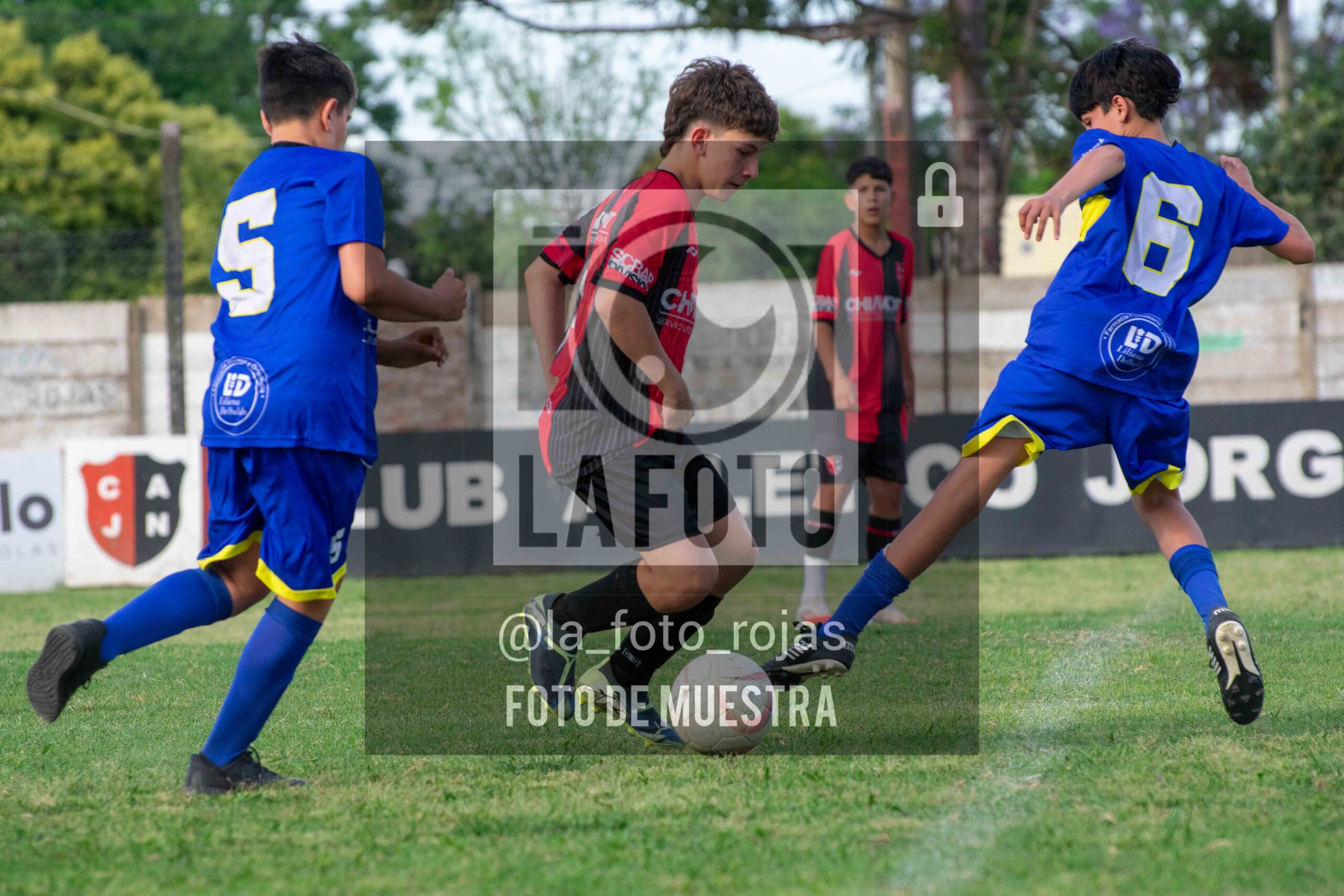 Fotografía DSC_0459-scaled de 15-11 NEWBERY BOCA / SUB15